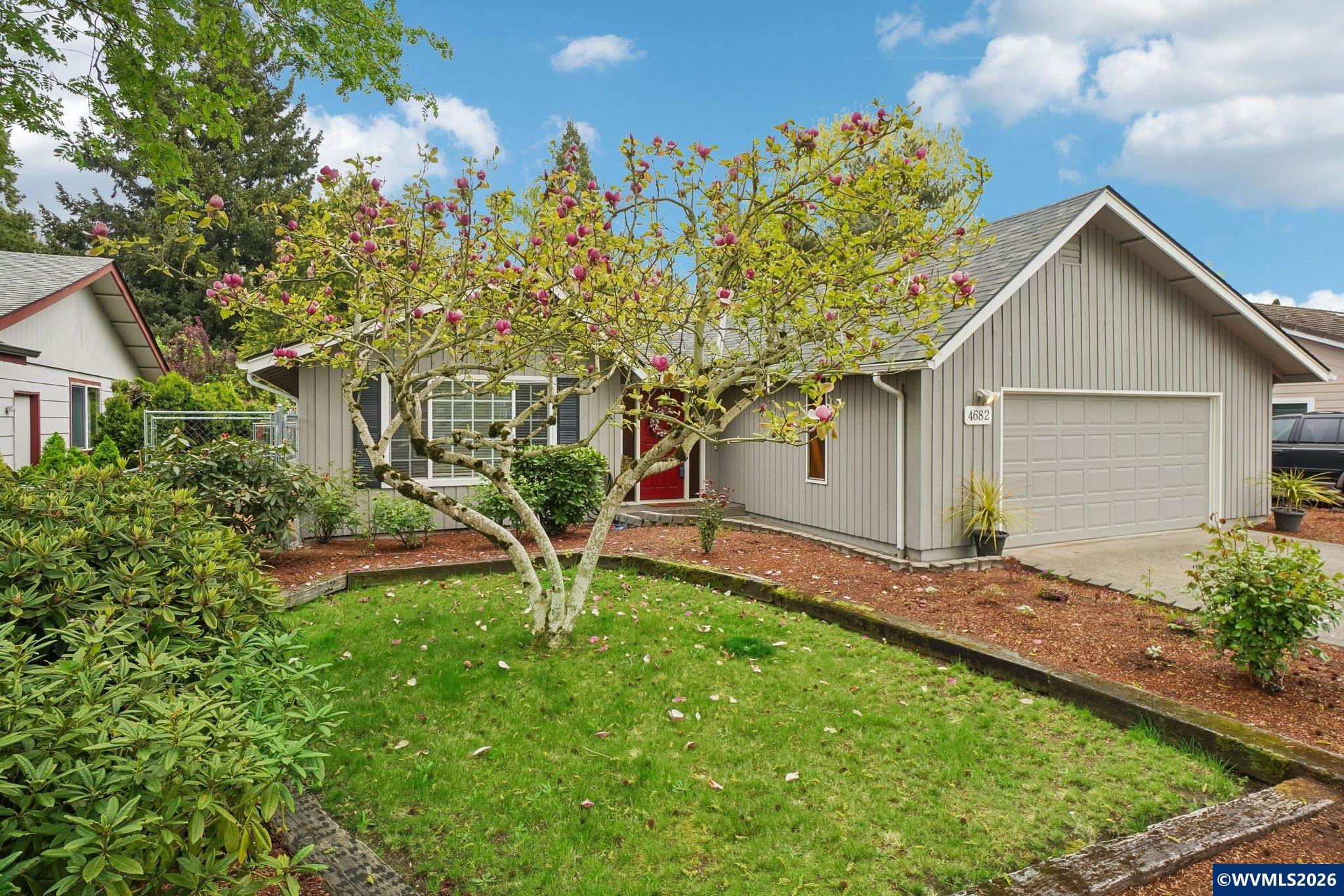 First Image
