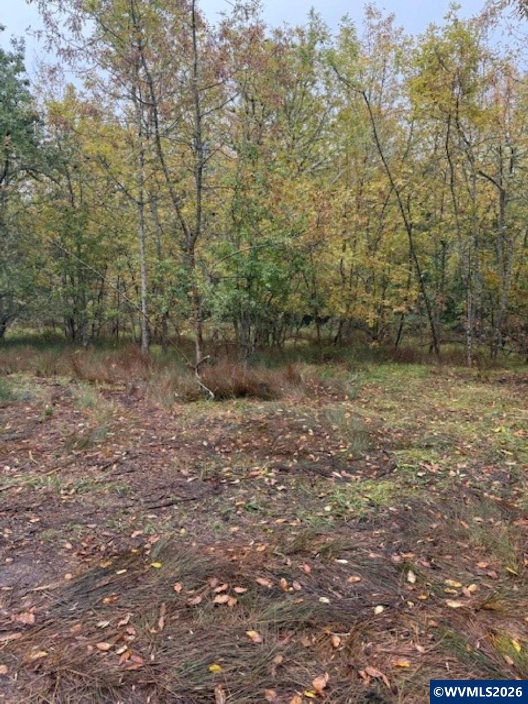 Lot 2400 W Oak St, Lebanon, OR, 97355