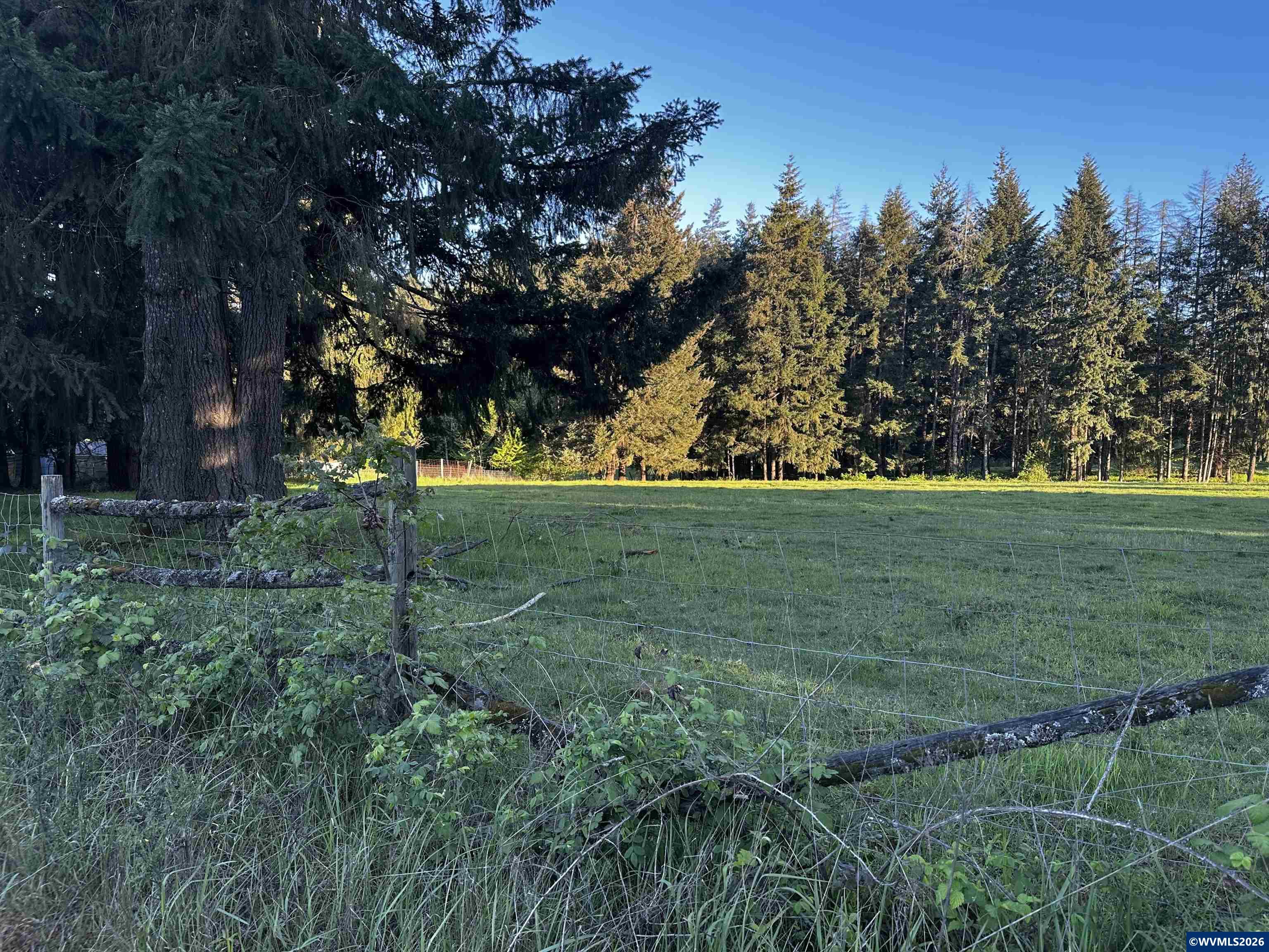 Orchard Tract /Orchard Tract Rd