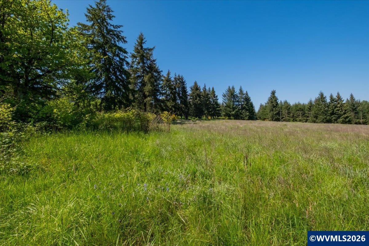 TA 201552 Orchard Tract Rd