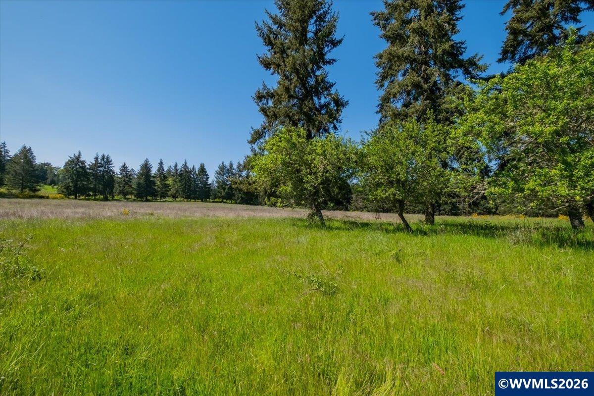 TA 201552 Orchard Tract Rd