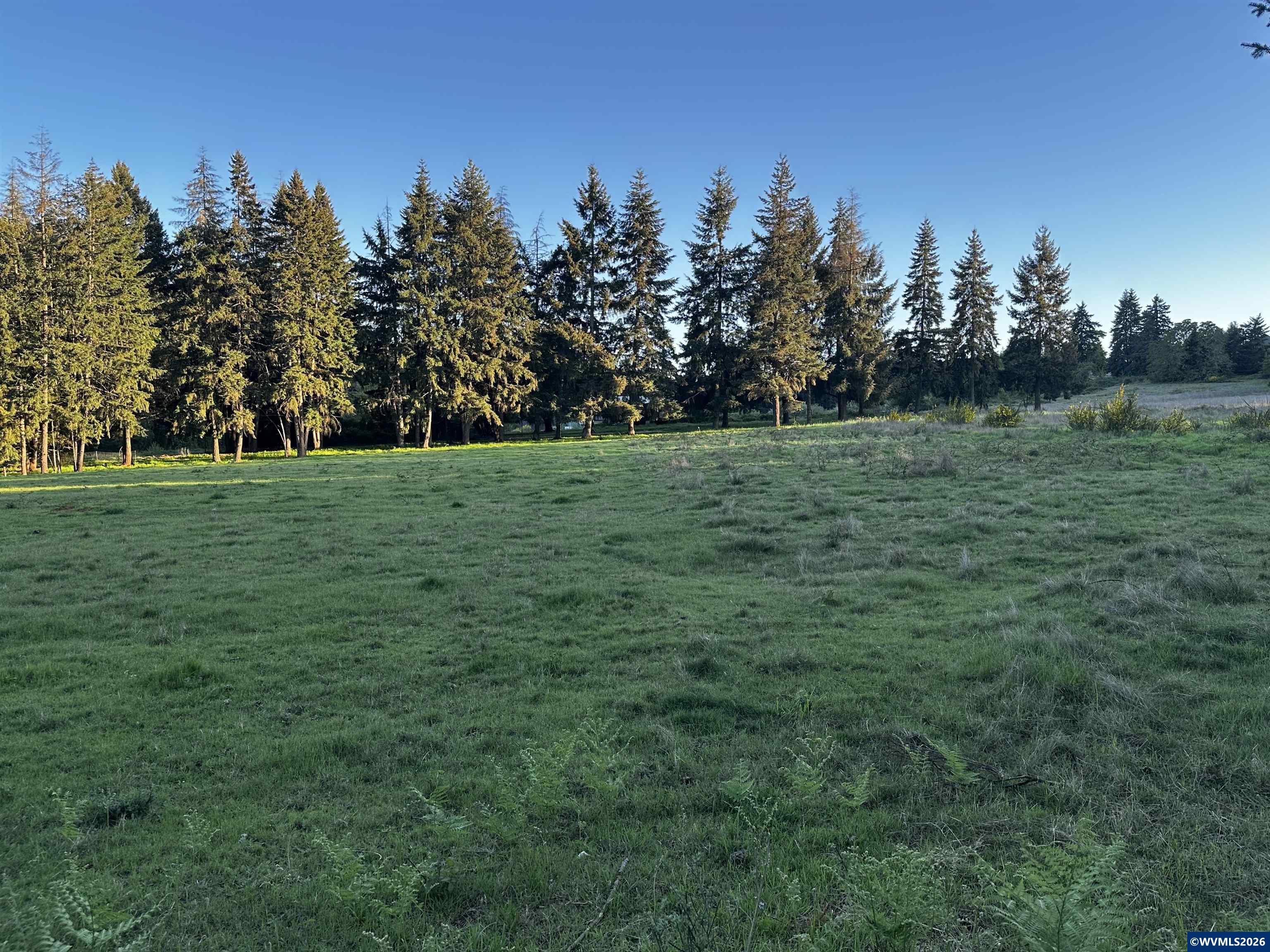 Orchard Tract /Orchard Tract Rd