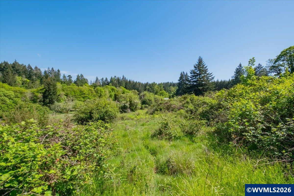 TA 201560 Orchard Tract Rd