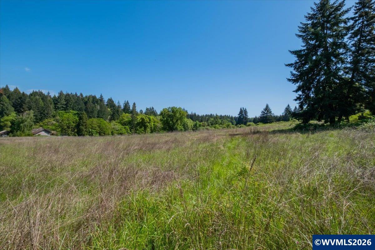 TA-Multiple(3) Orchard Tract/Shady Oak