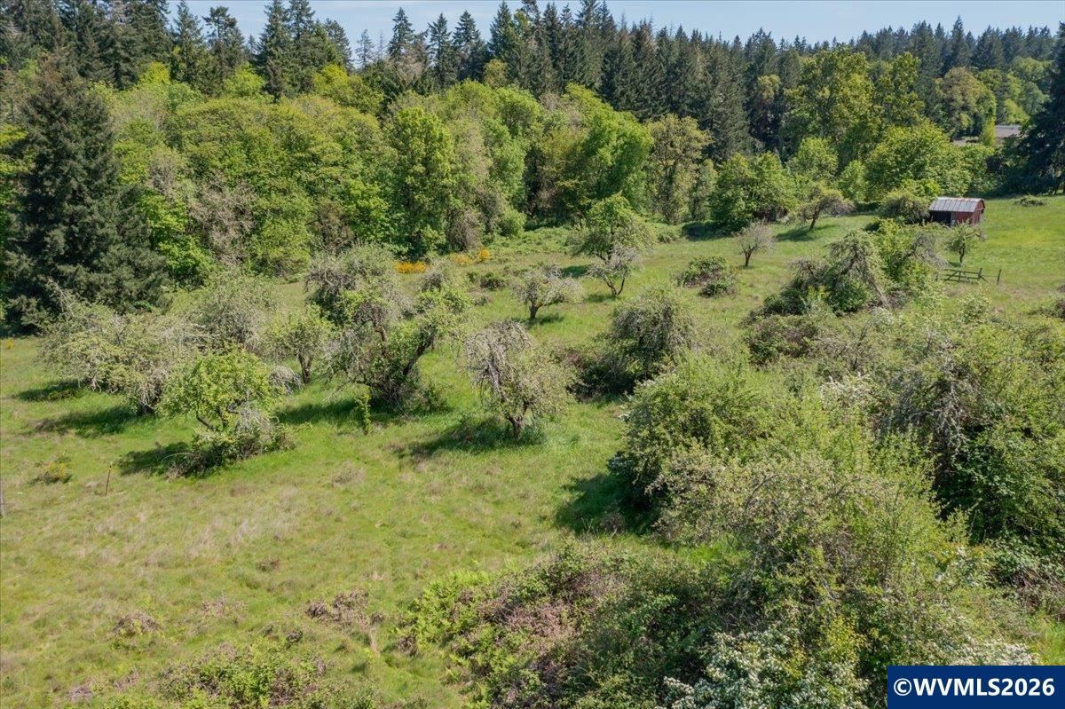 TA-Multiple(3) Orchard Tract/Shady Oak
