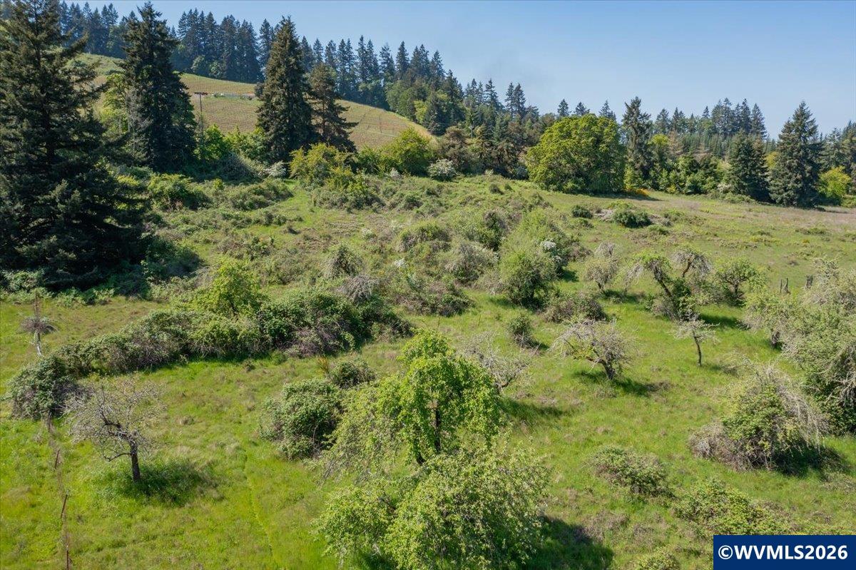 TA-Multiple(3) Orchard Tract/Shady Oak