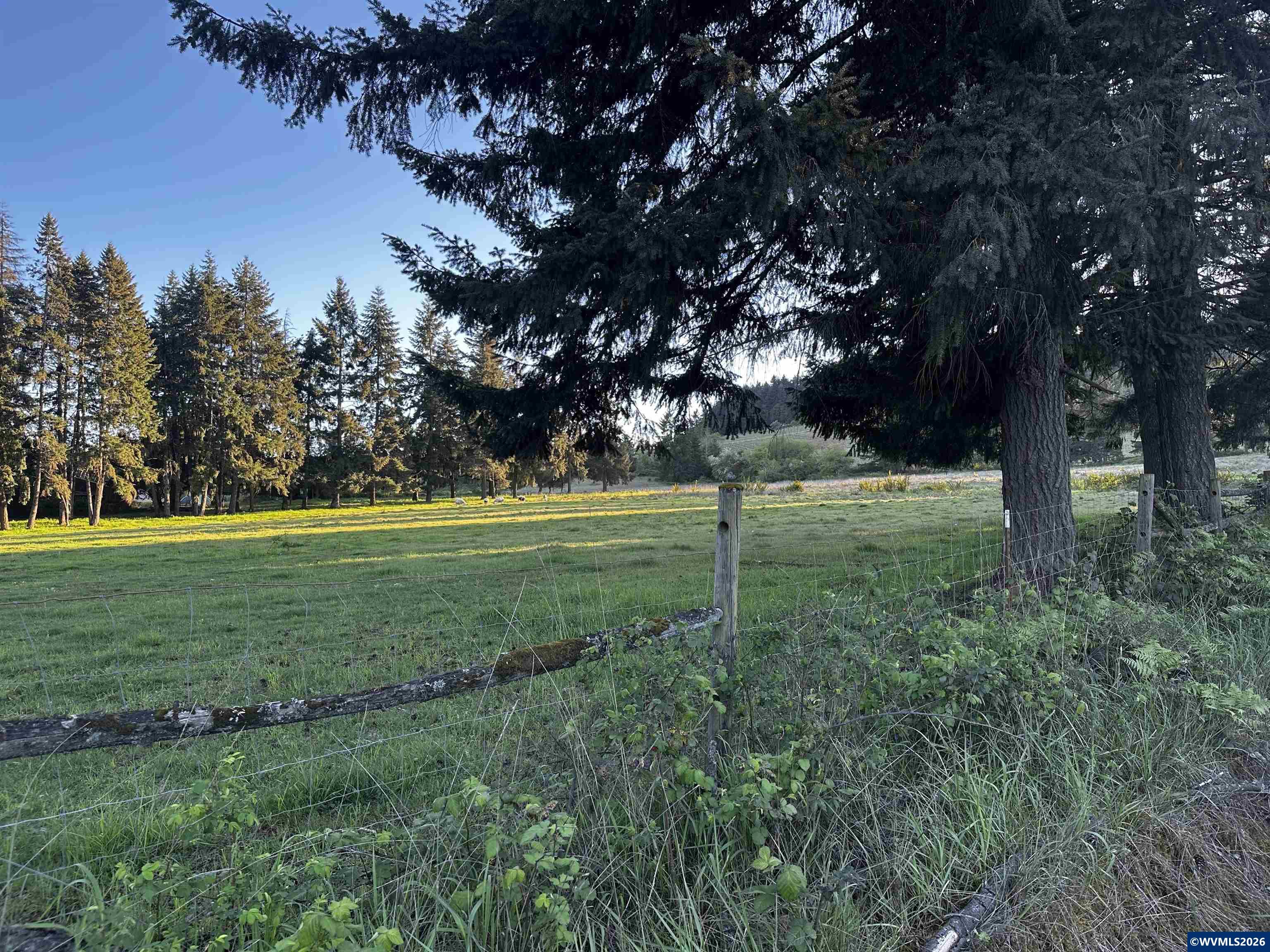 TA-Multiple(3) Orchard Tract/Shady Oak
