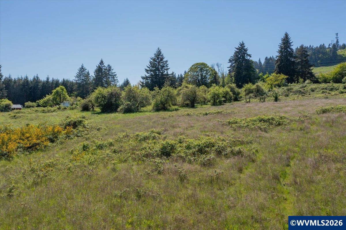 TA-Multiple(3) Orchard Tract/Shady Oak