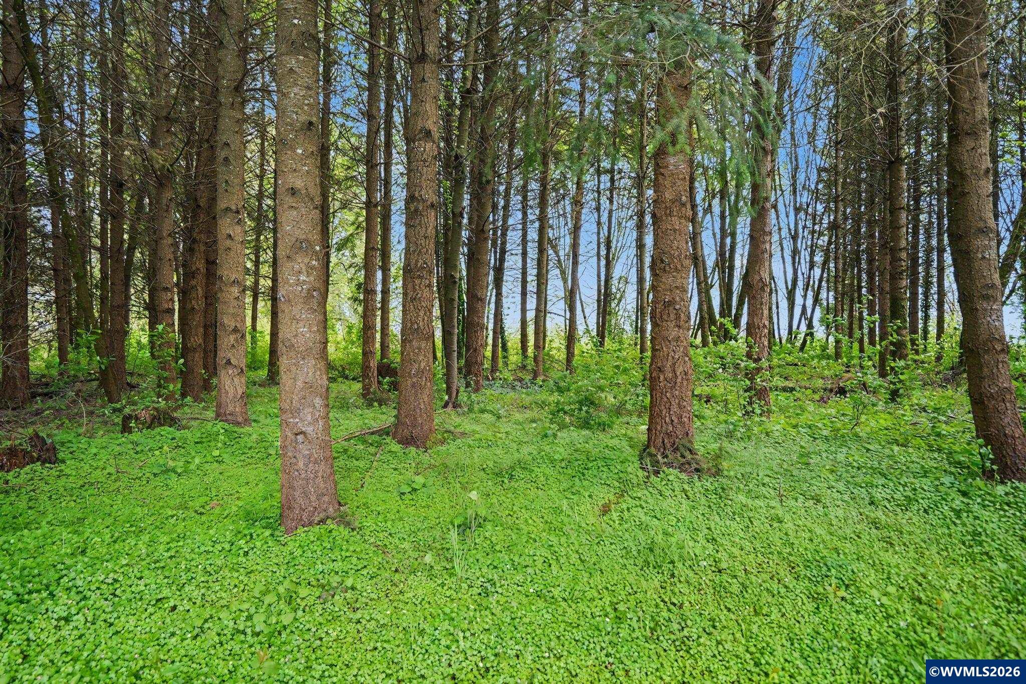 35861 Santiam Hwy SE