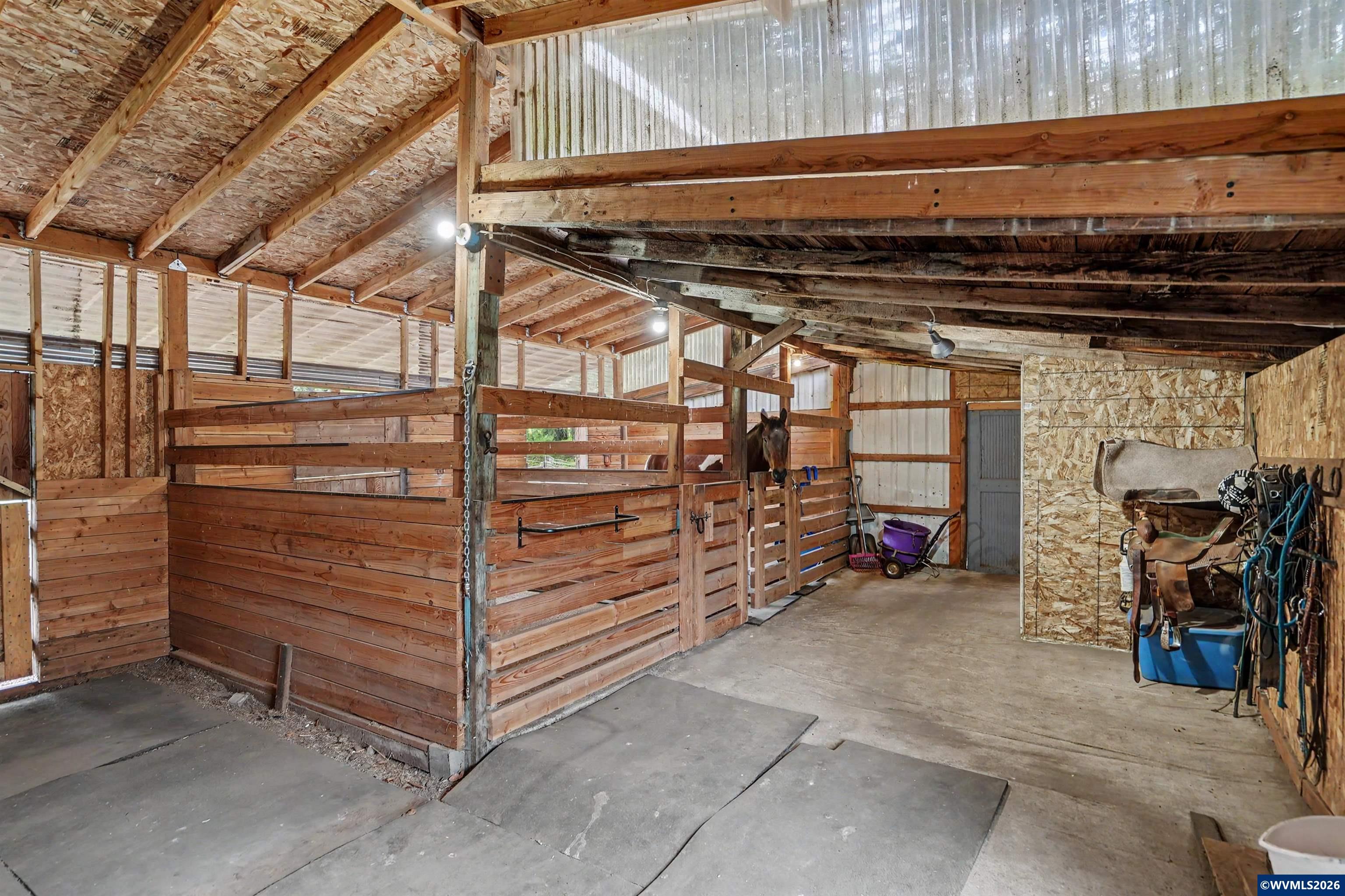 Image 41