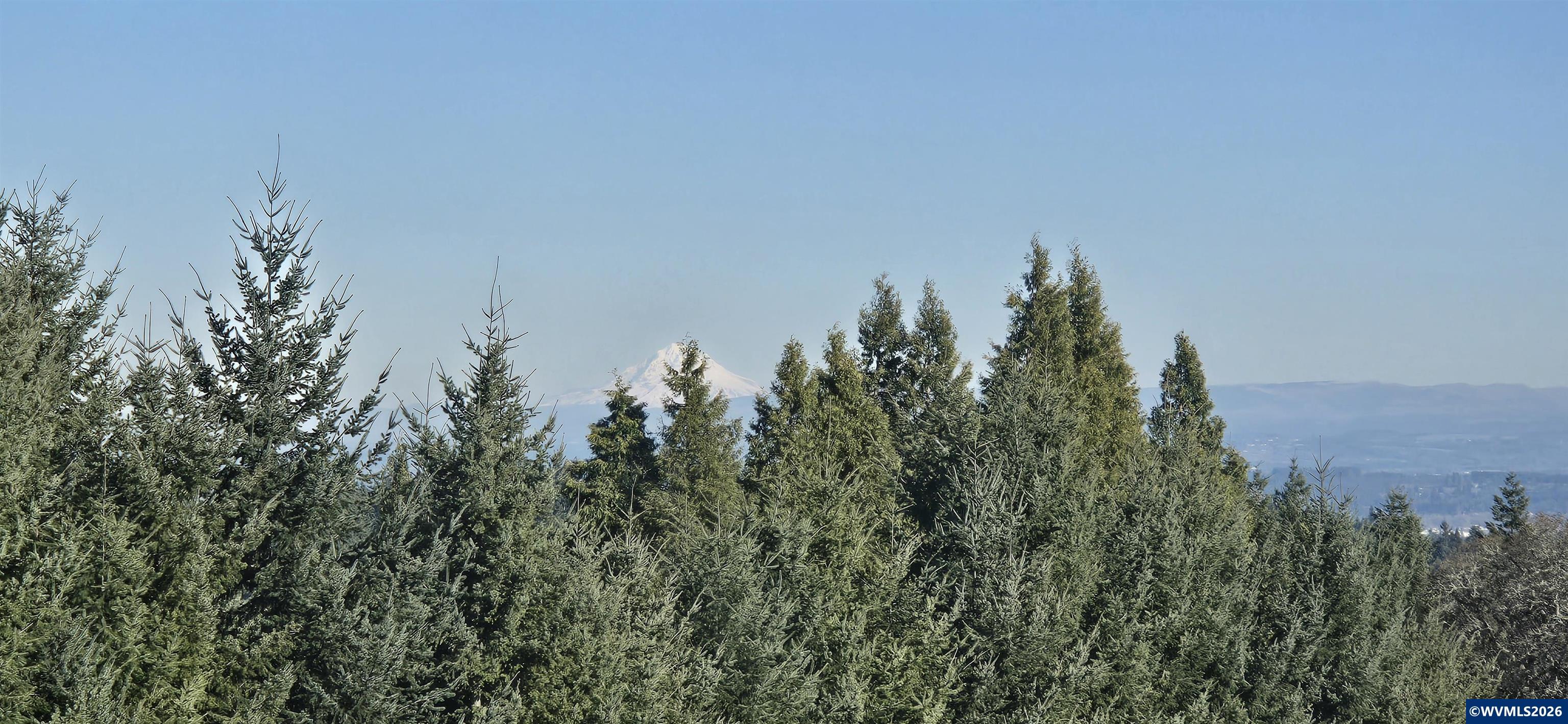 Image 49