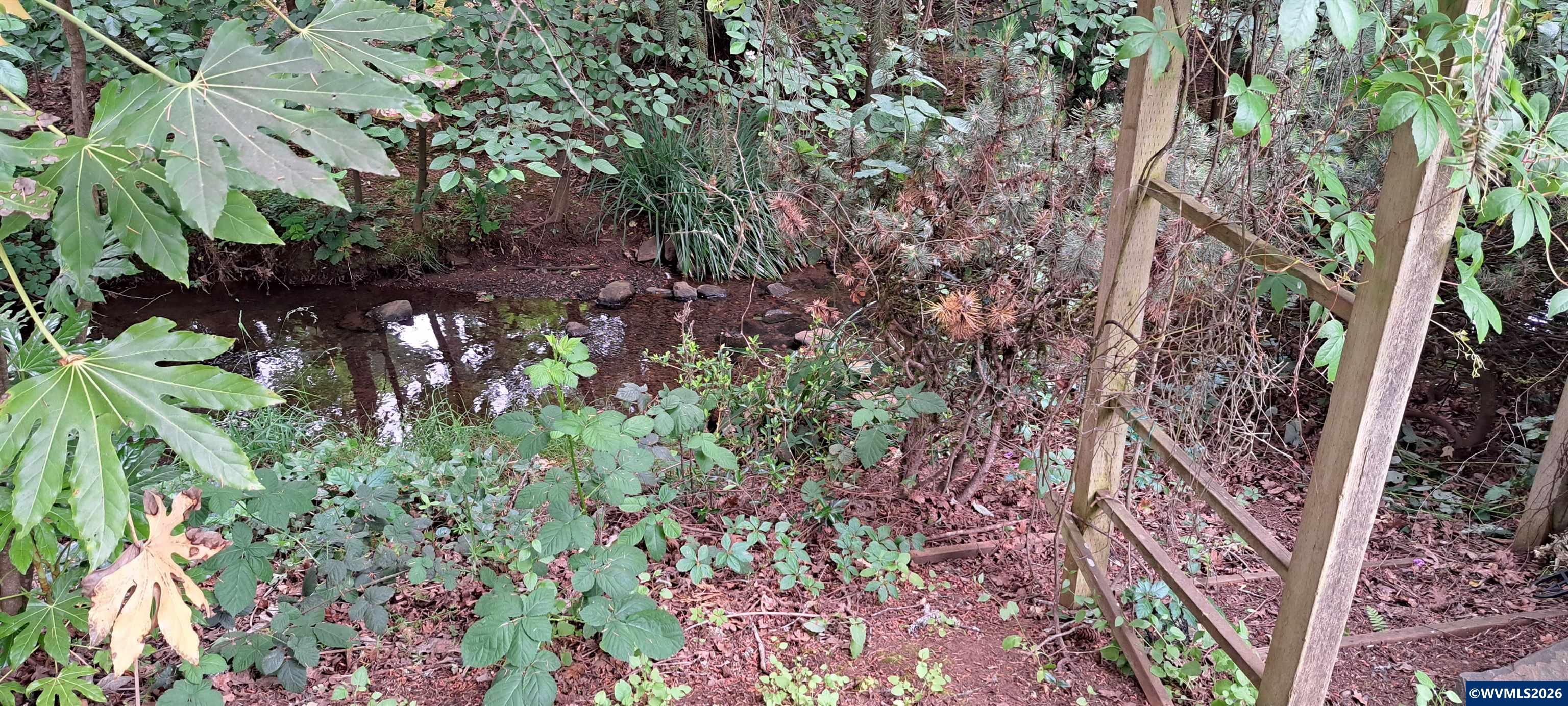Image 45