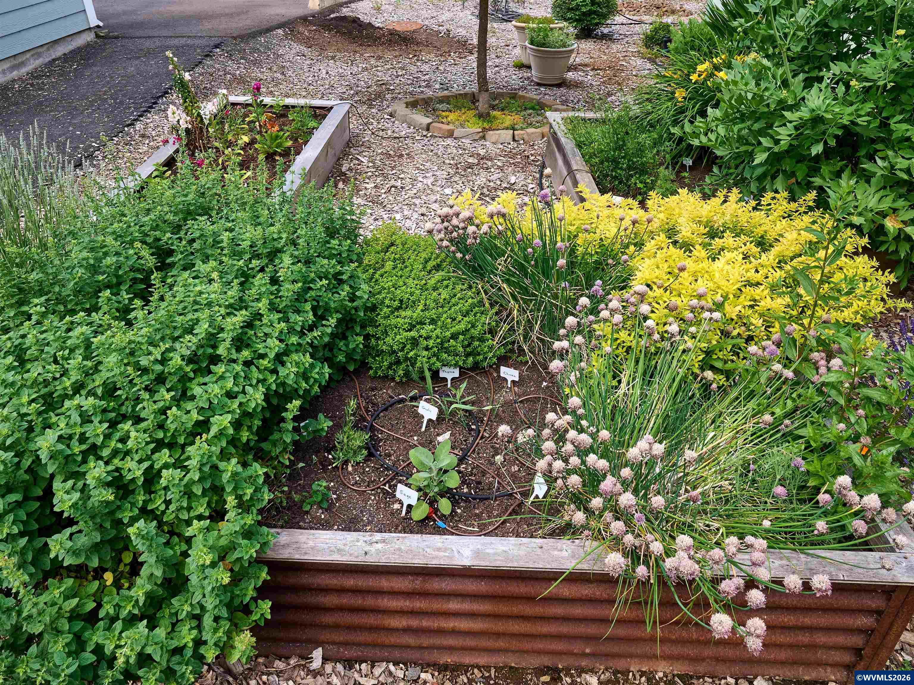 Image 48