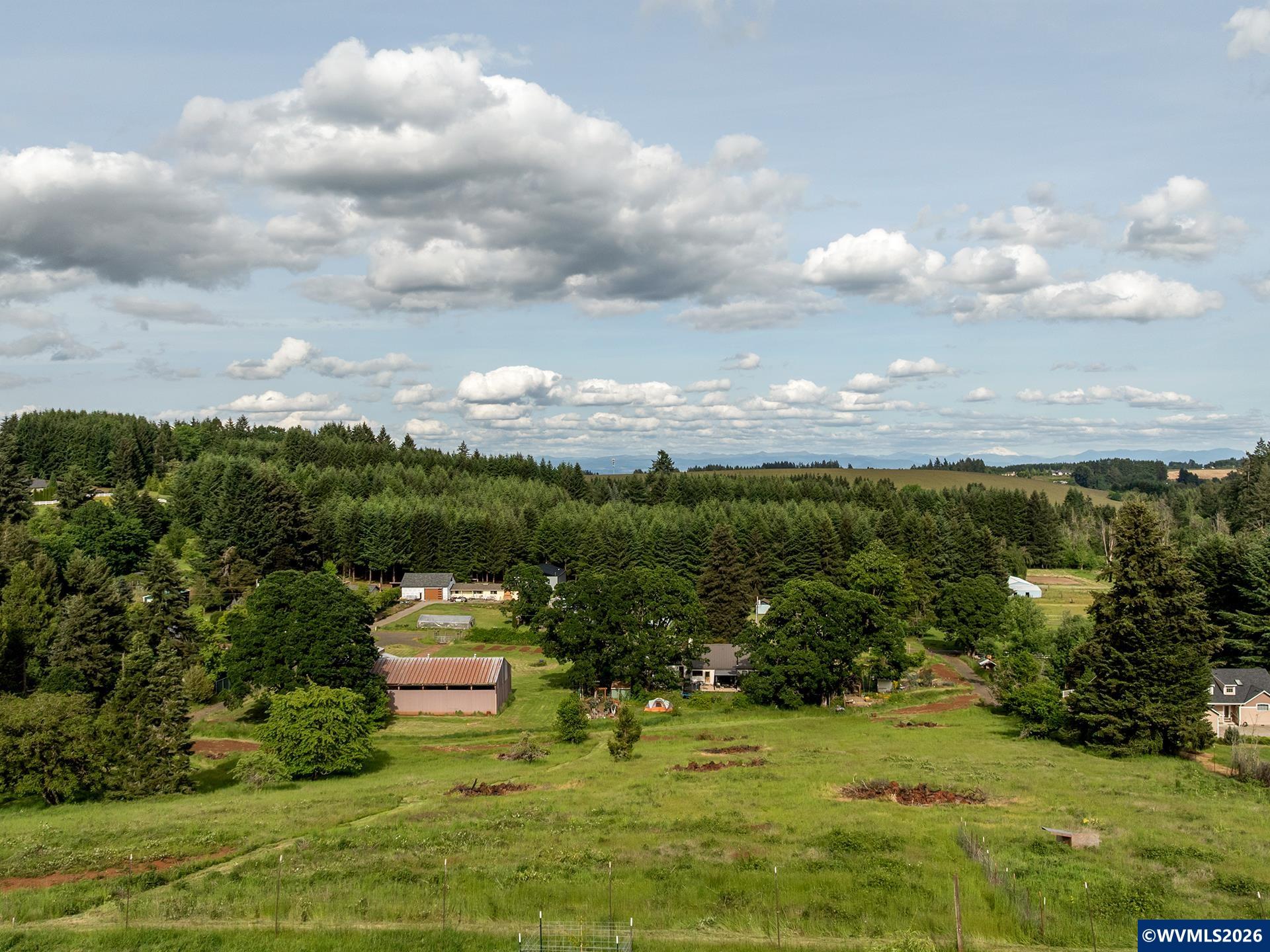 Image 13