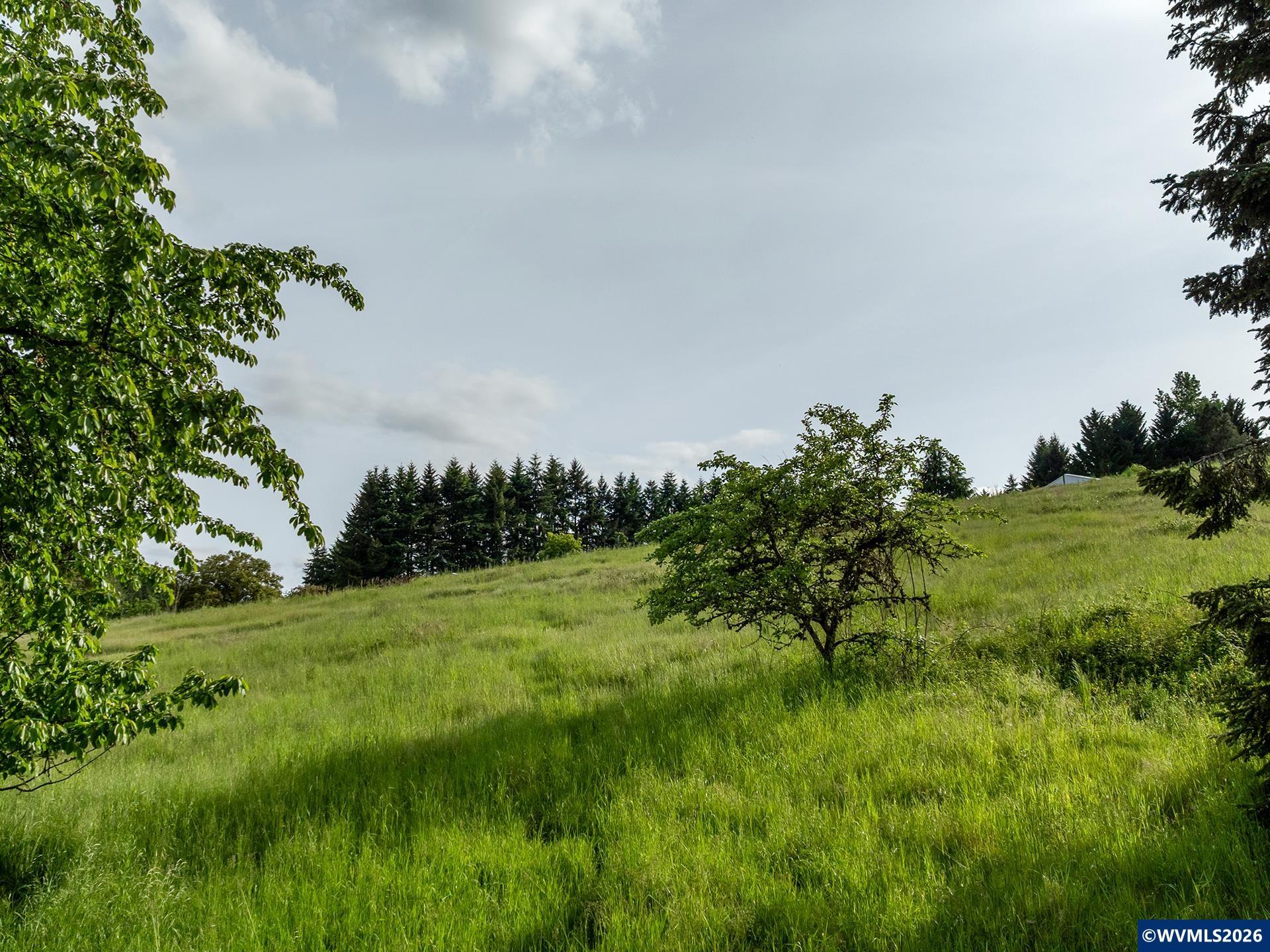 Image 24
