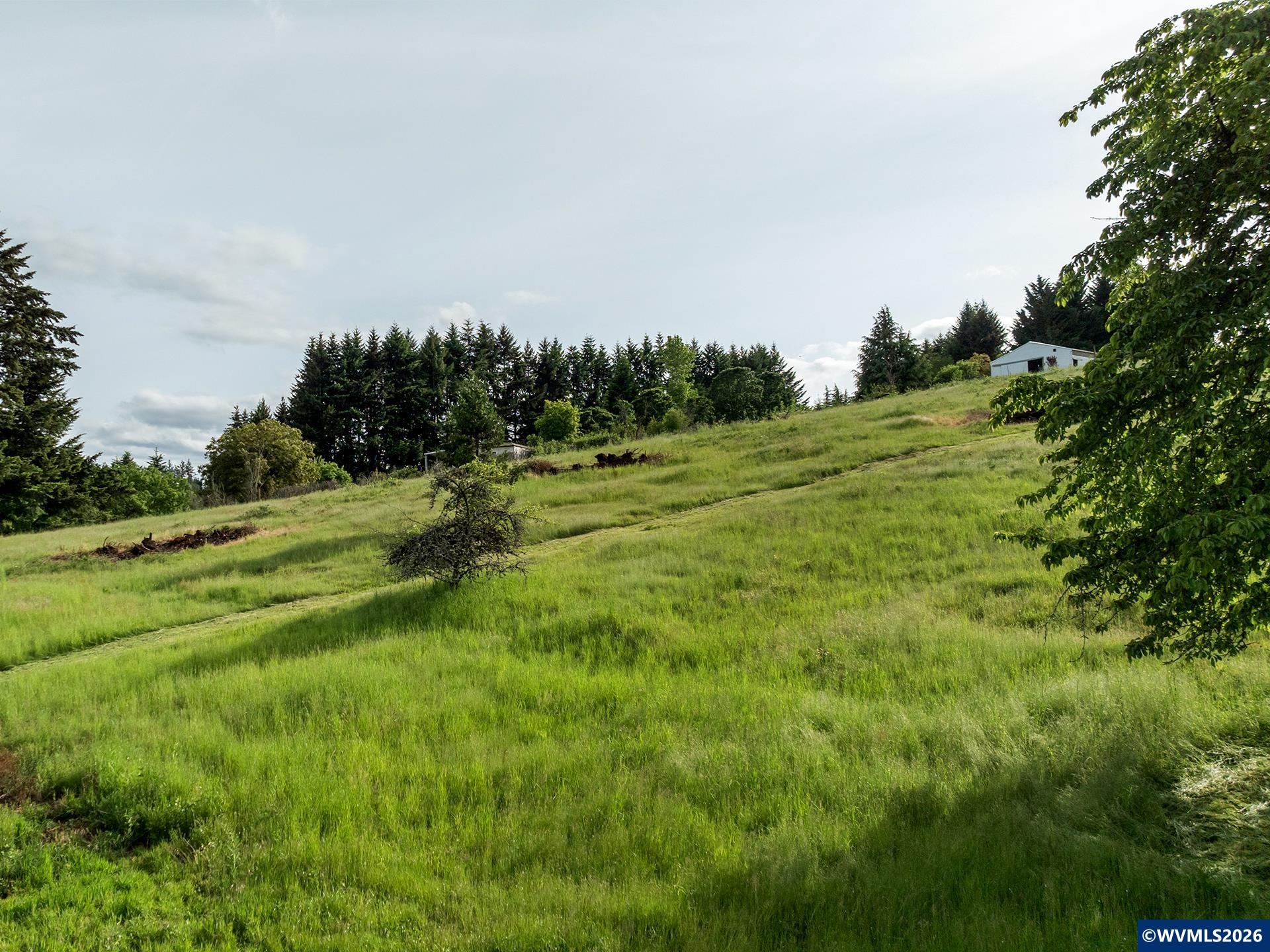 Image 25
