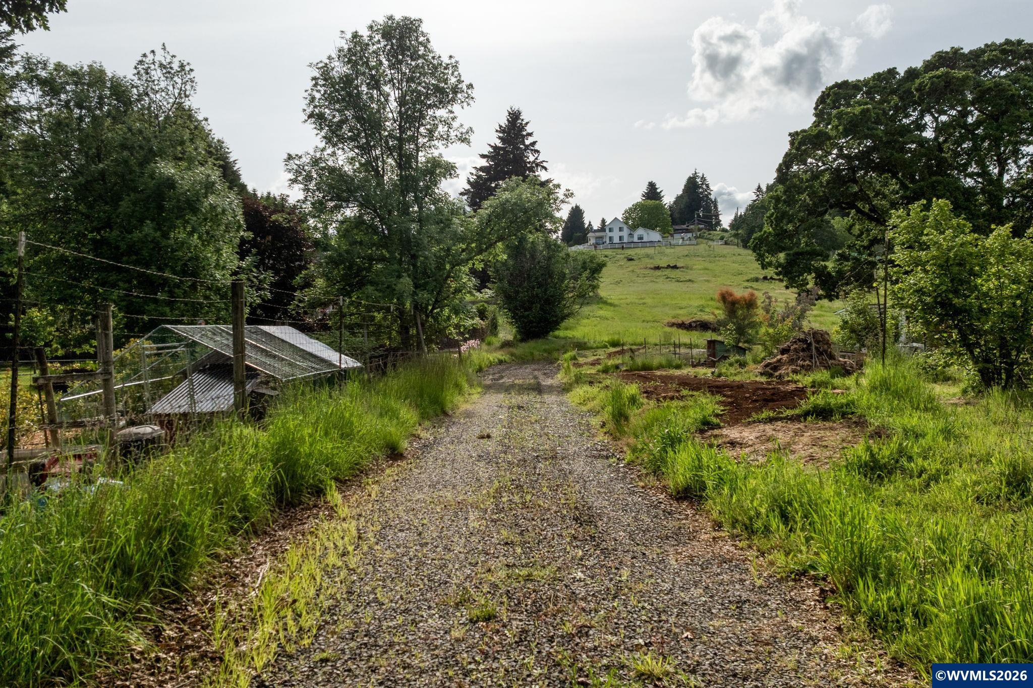 Image 12