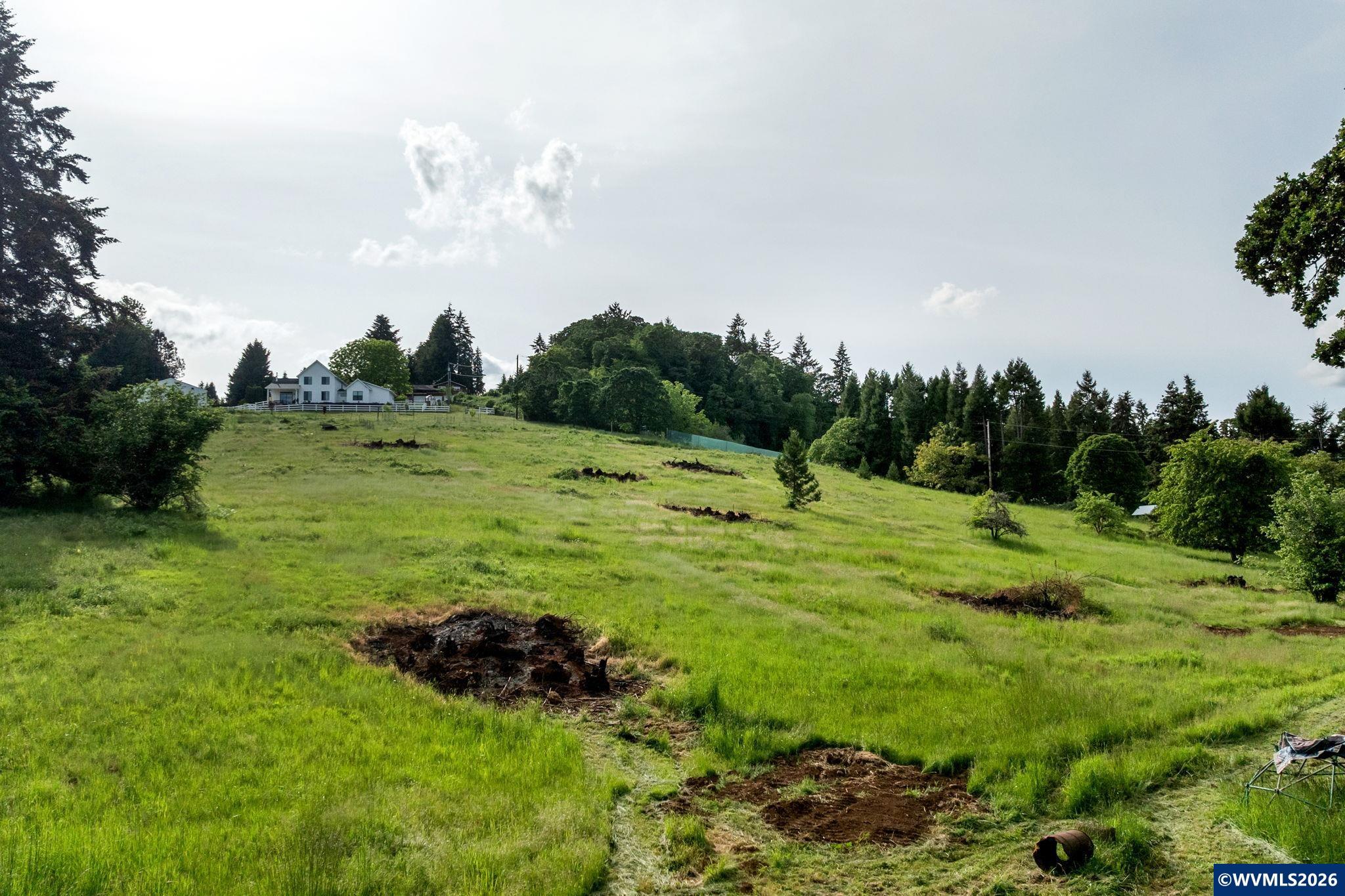 Image 13