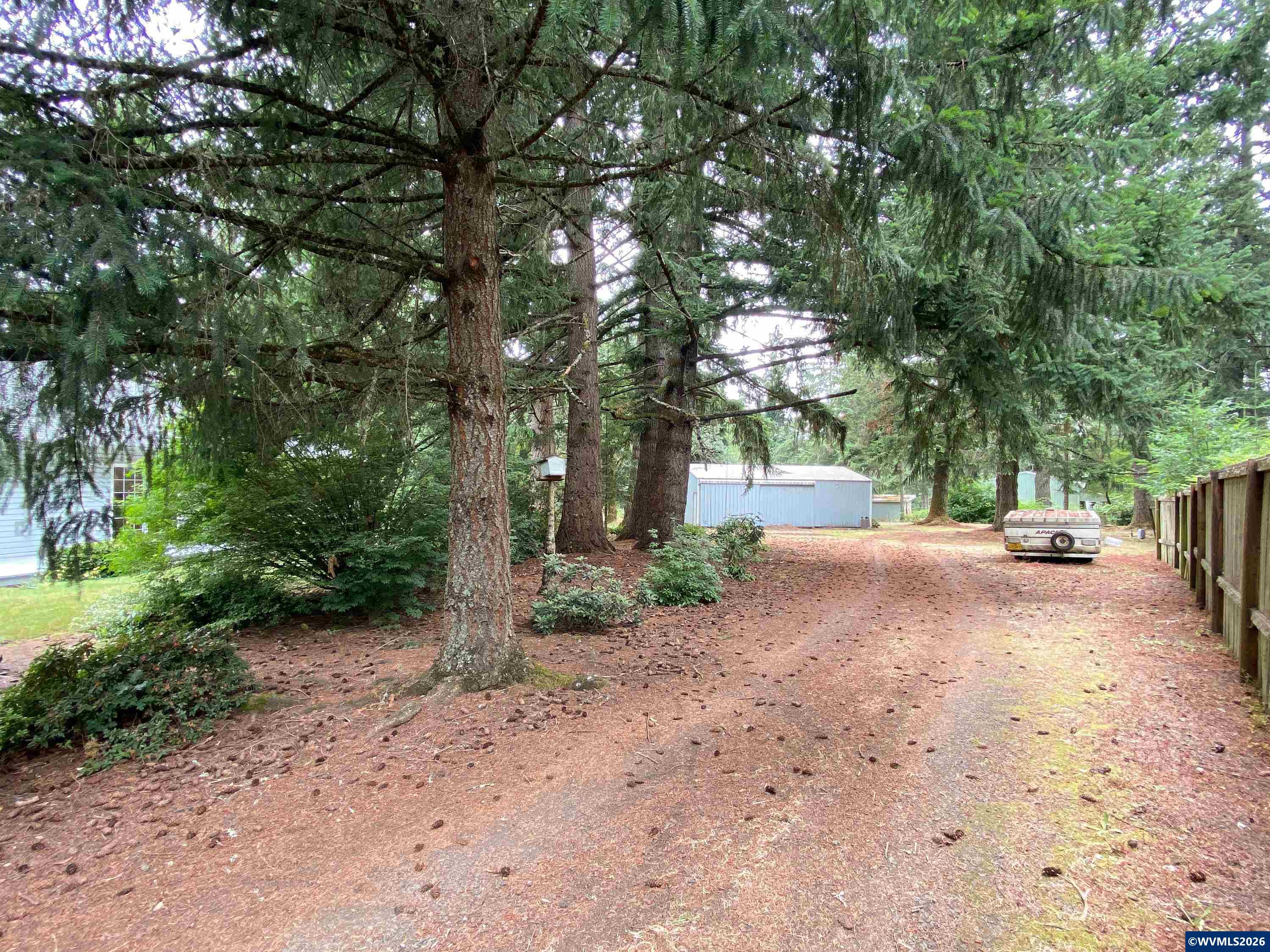 Image 11