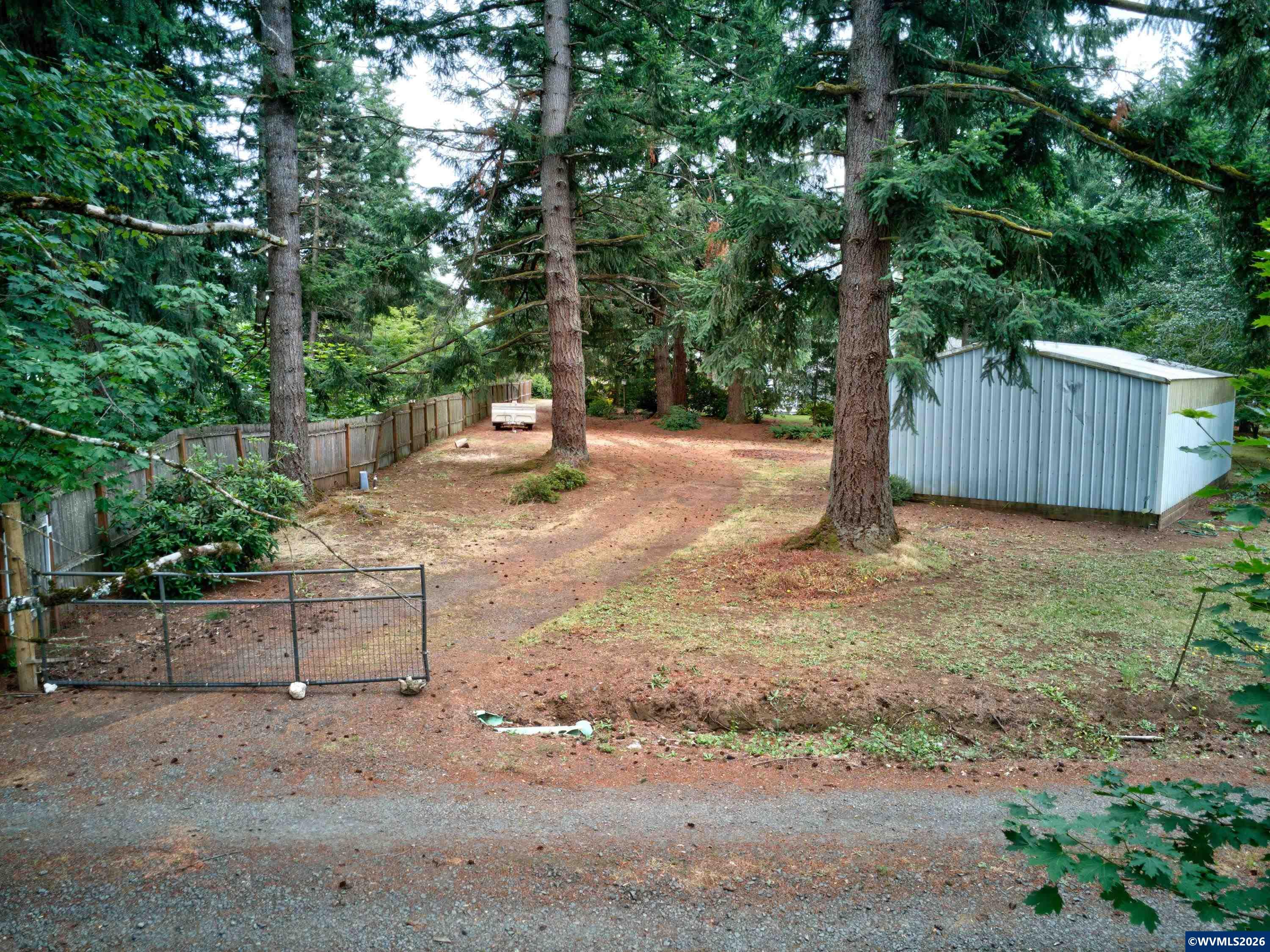 Image 14