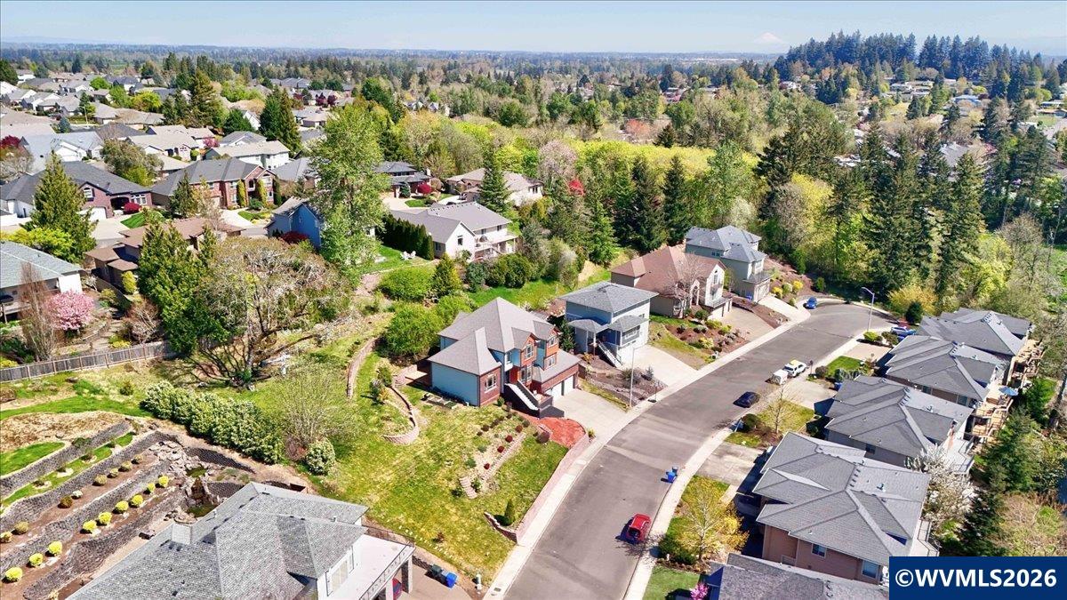 Image 42
