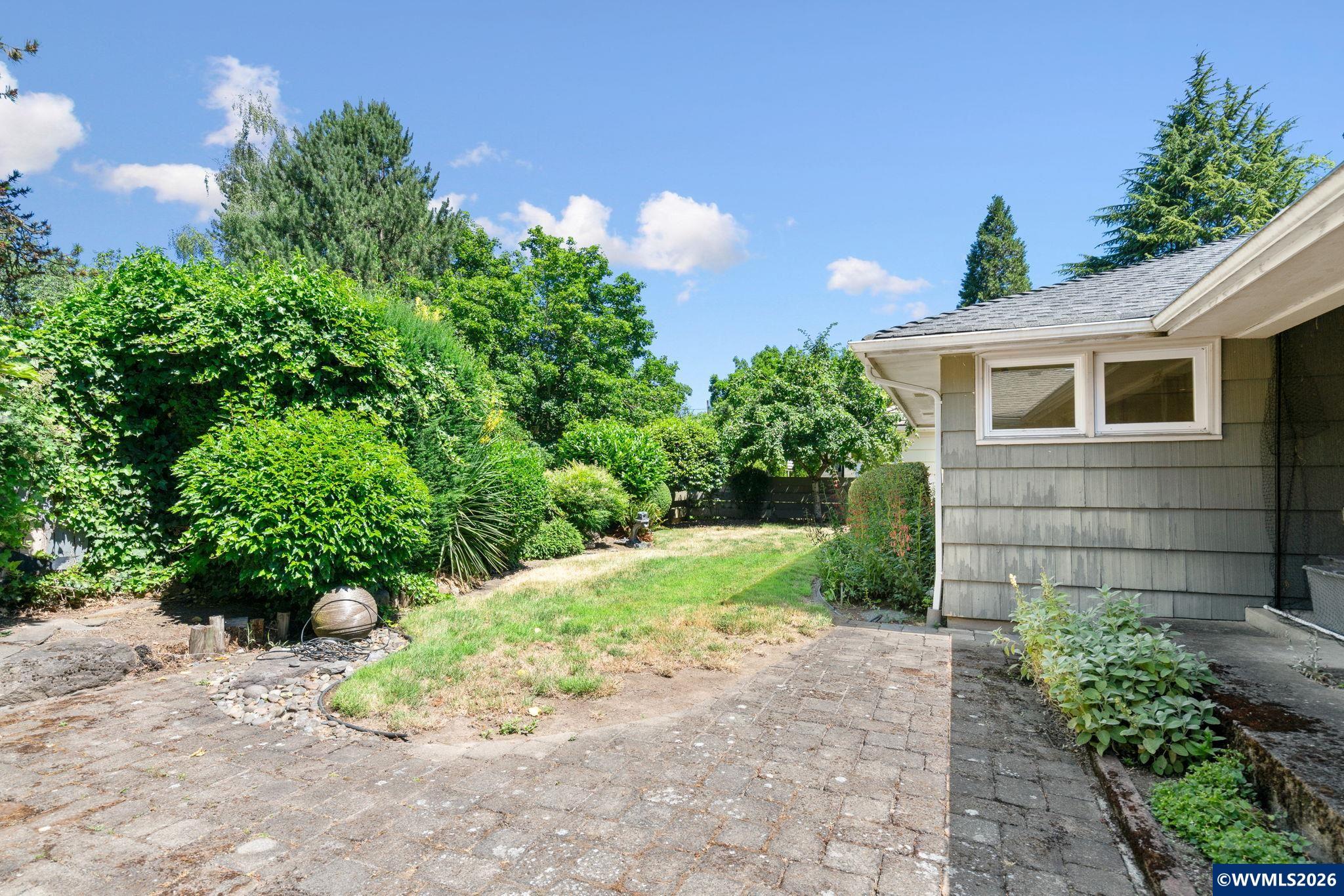 Image 31