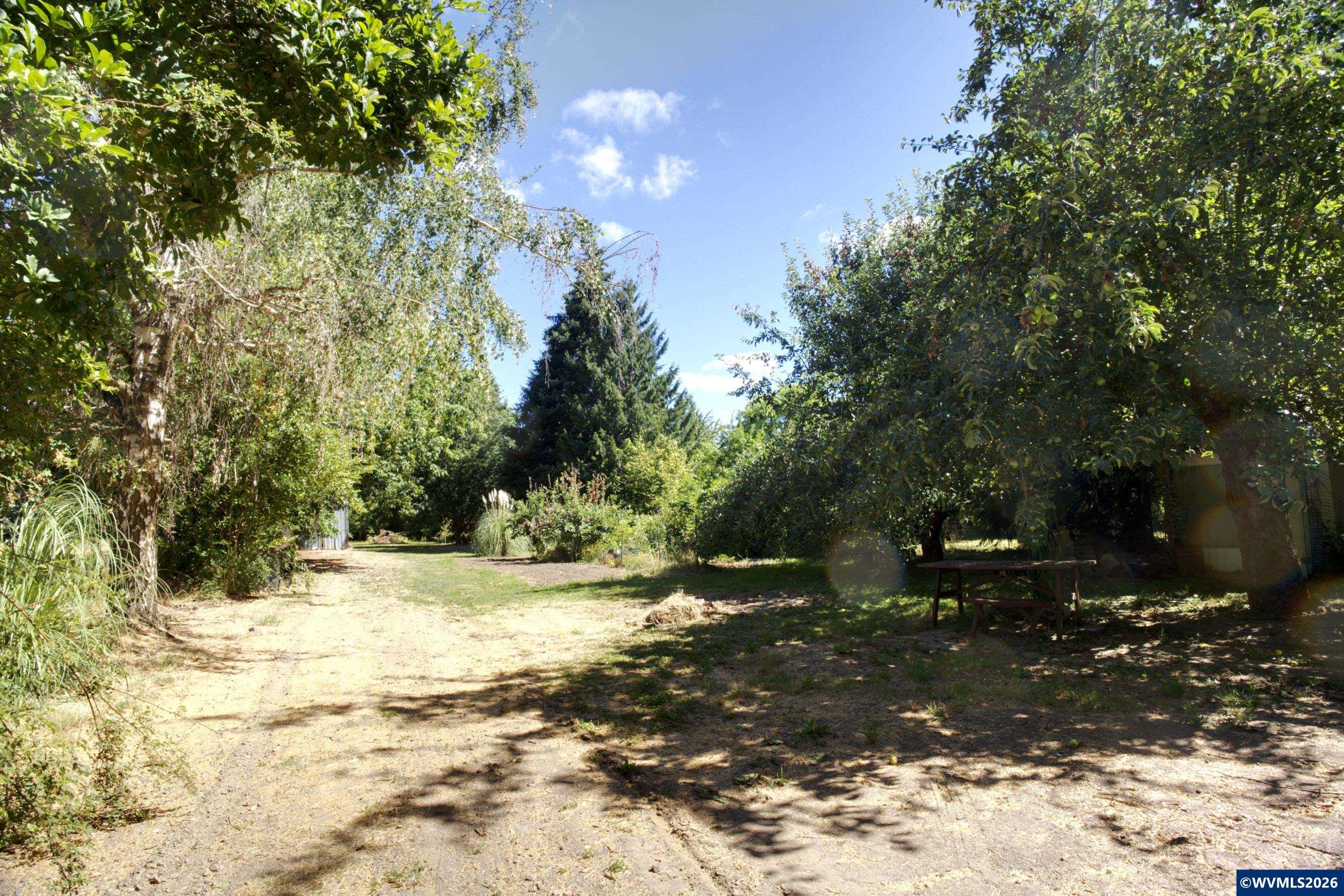 Image 25