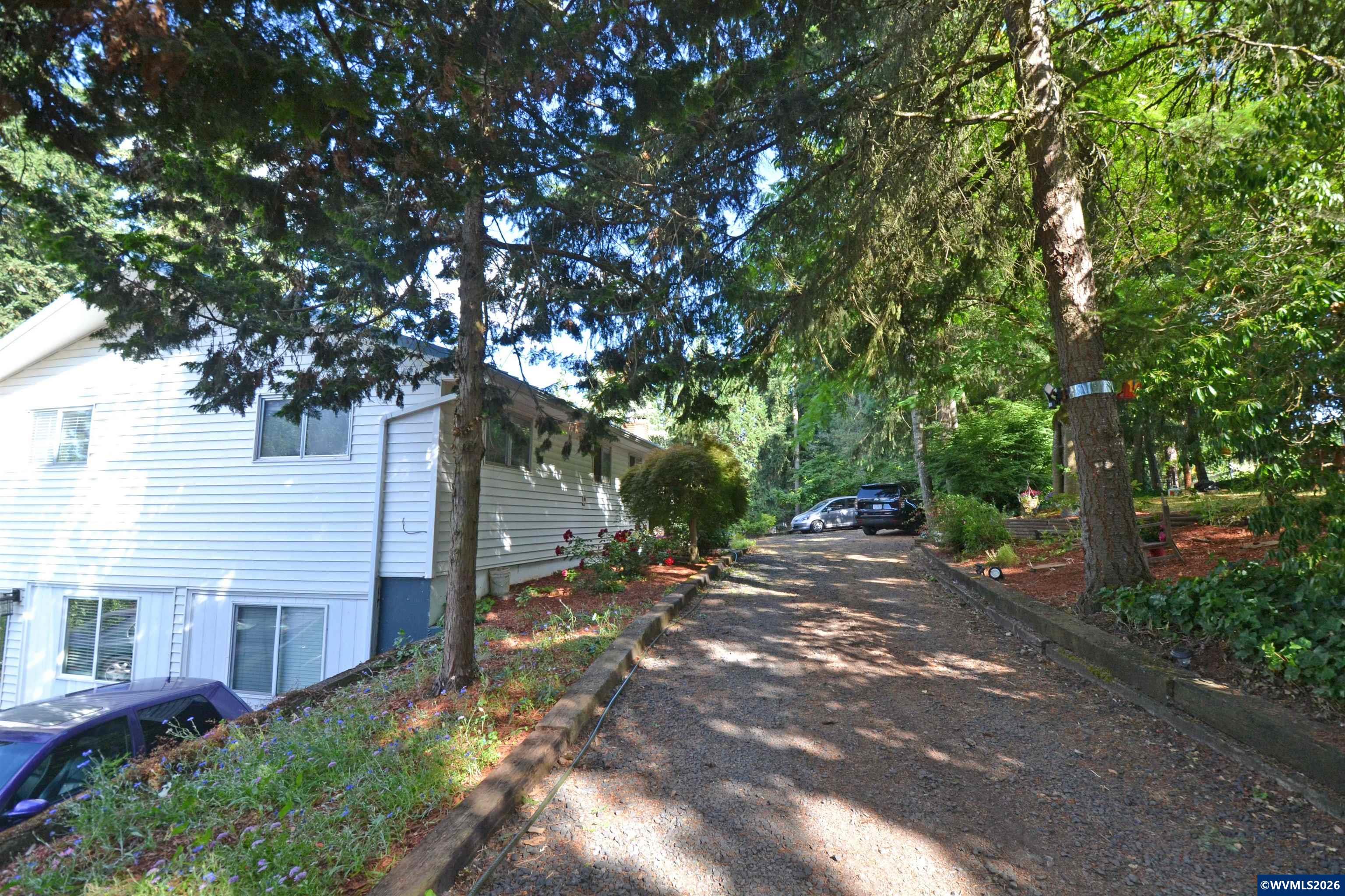 Image 18