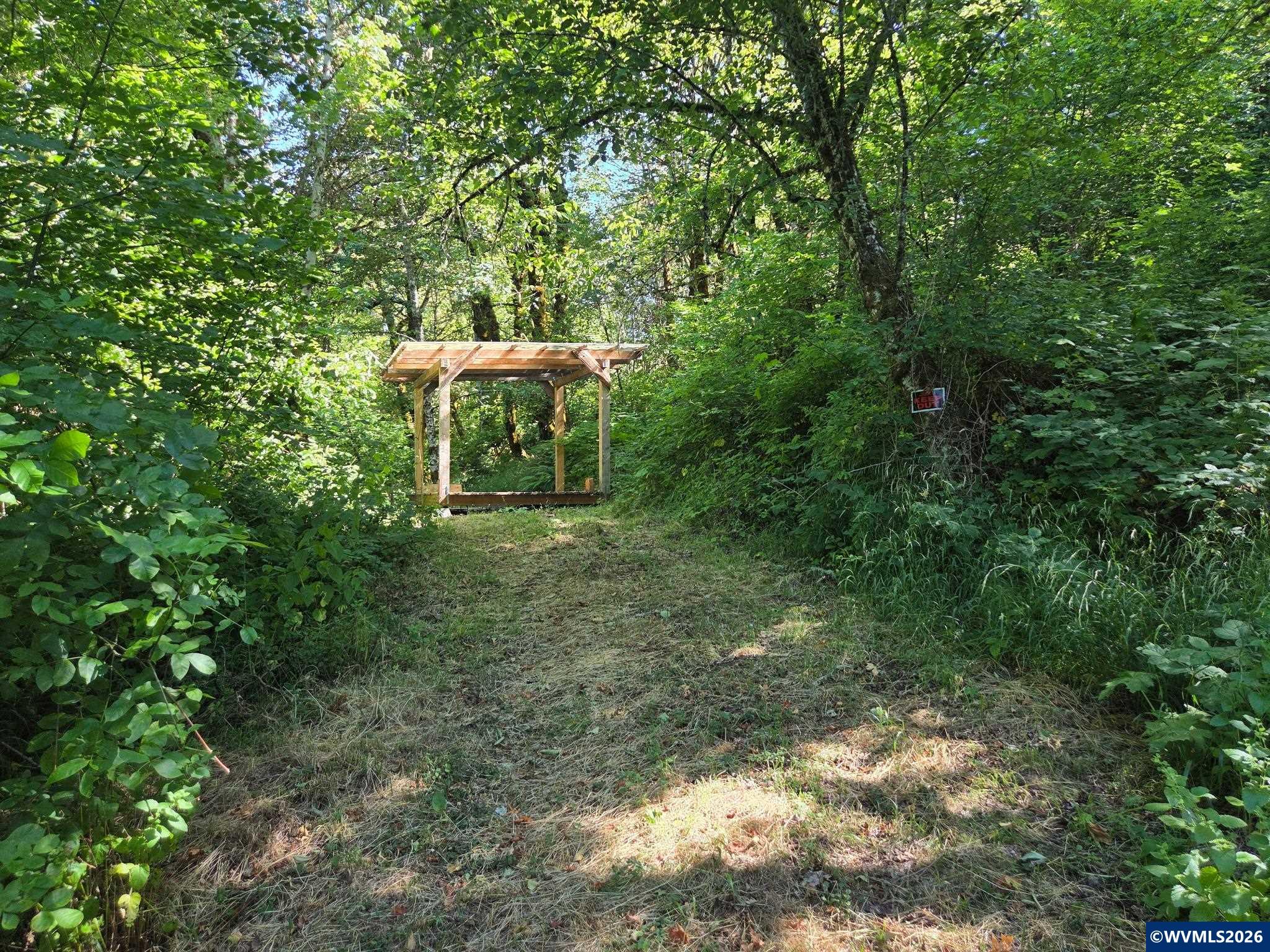 Image 12