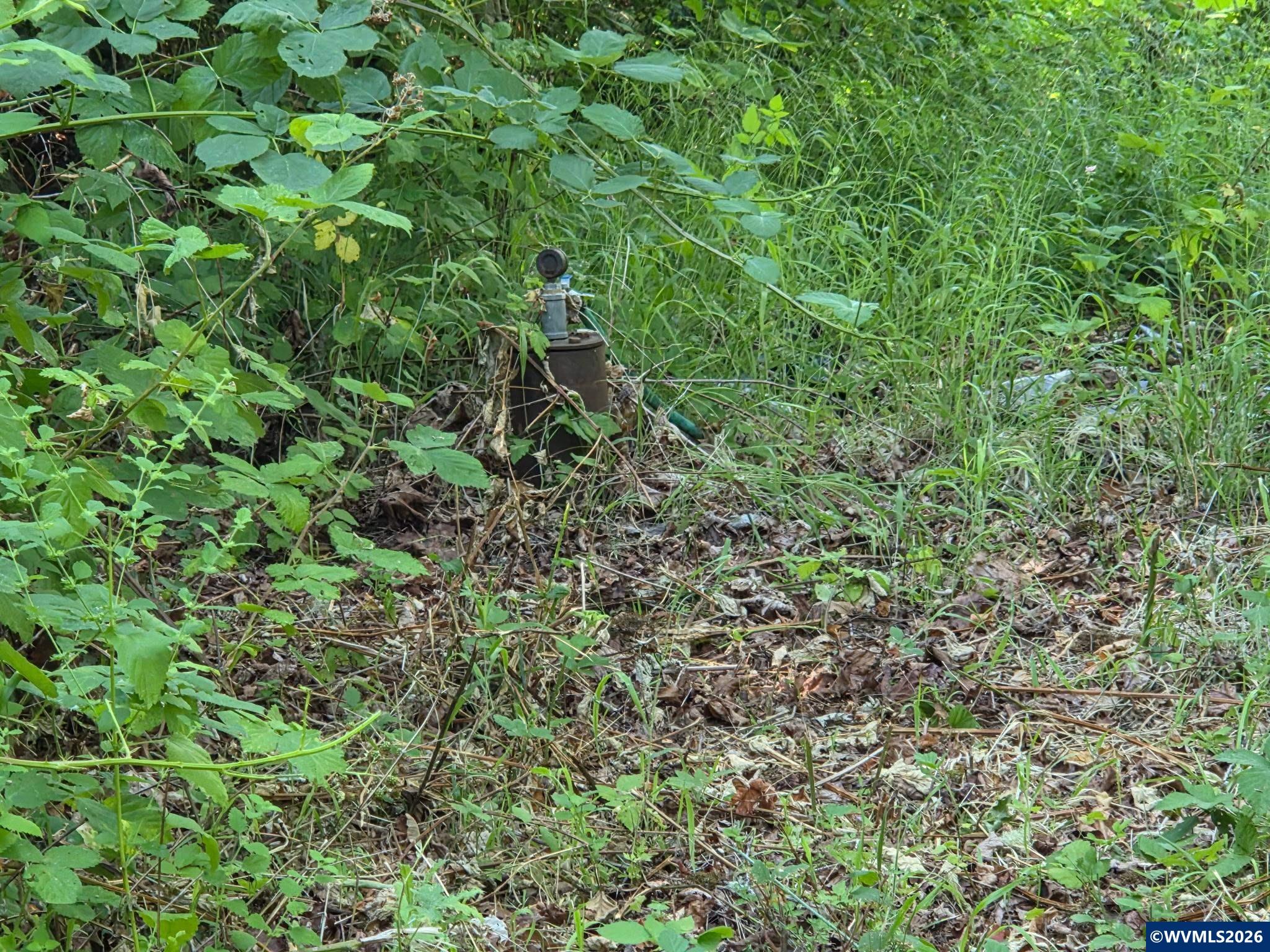 Image 15