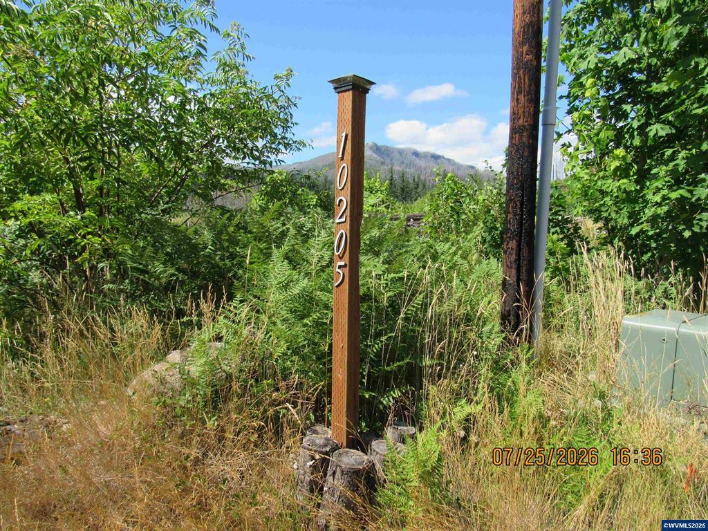 Gated community lot with North Fork views 10205 North Fork Ln SE Lyons Oregon 0.73 acres MLS 843902