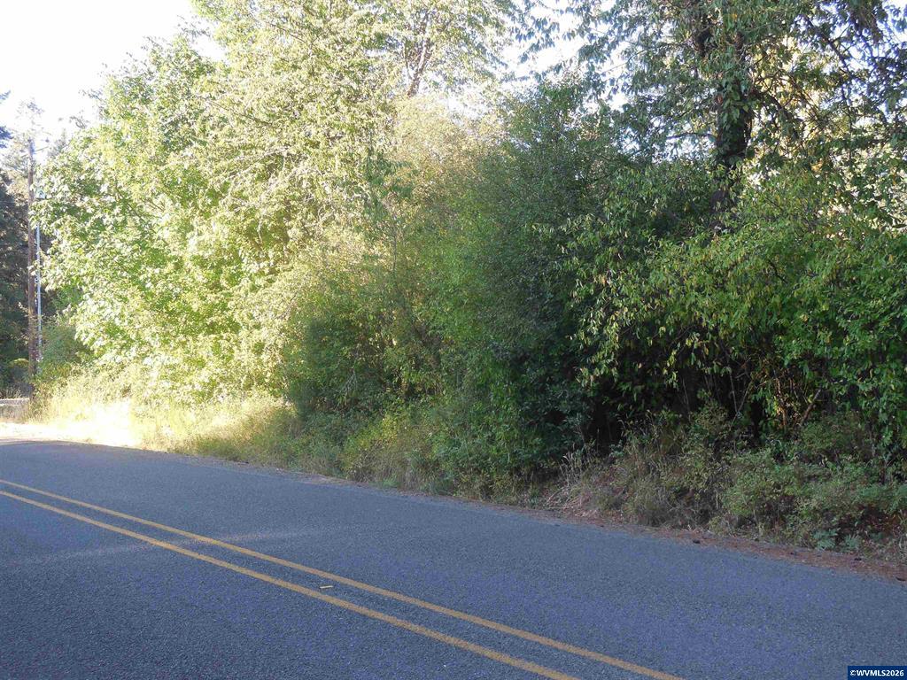 Two treed building lots with street frontage SW Kingwood Ave Mill City Oregon MLS 844416