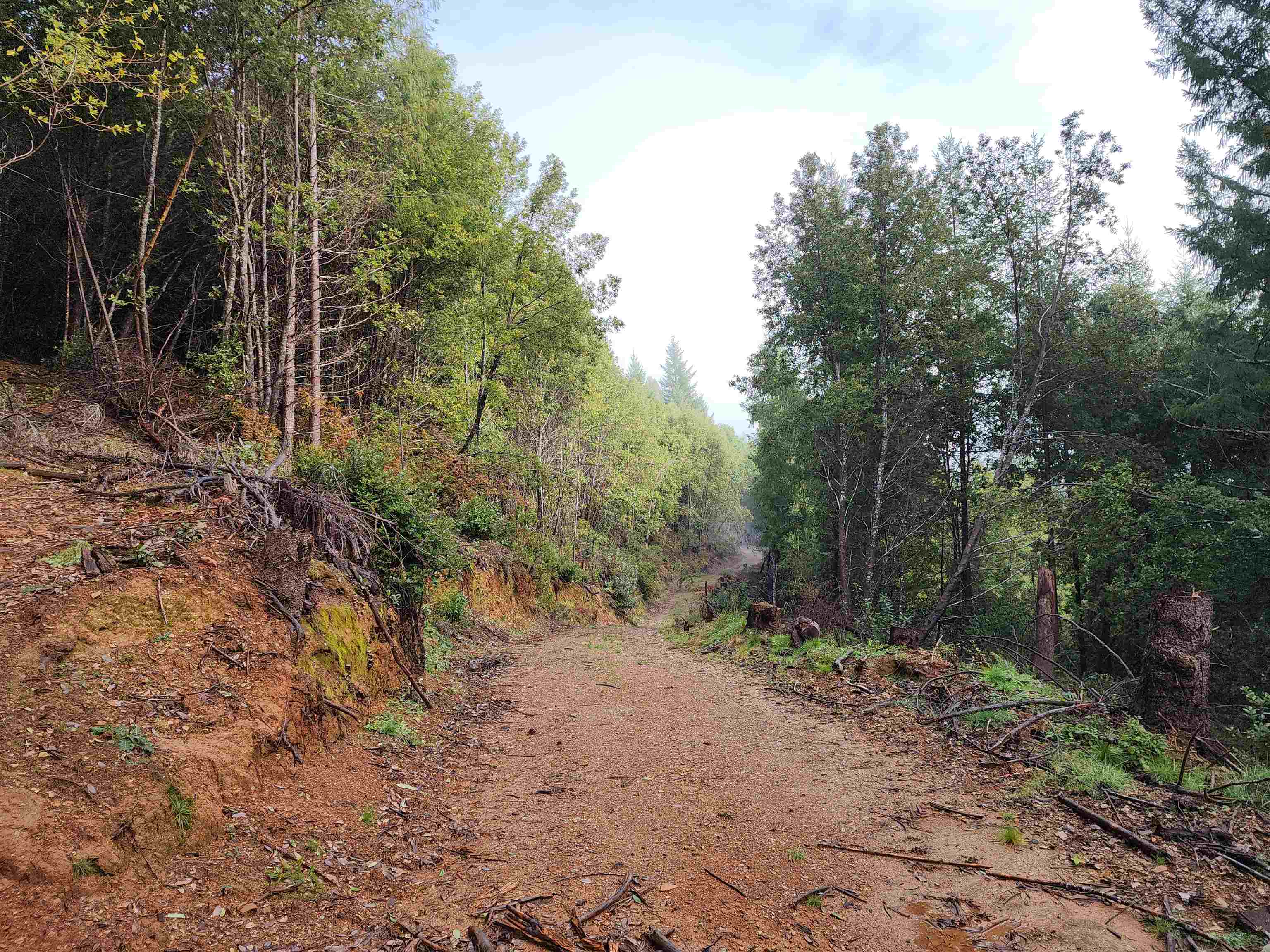0 Fox Ridge Road photo 12