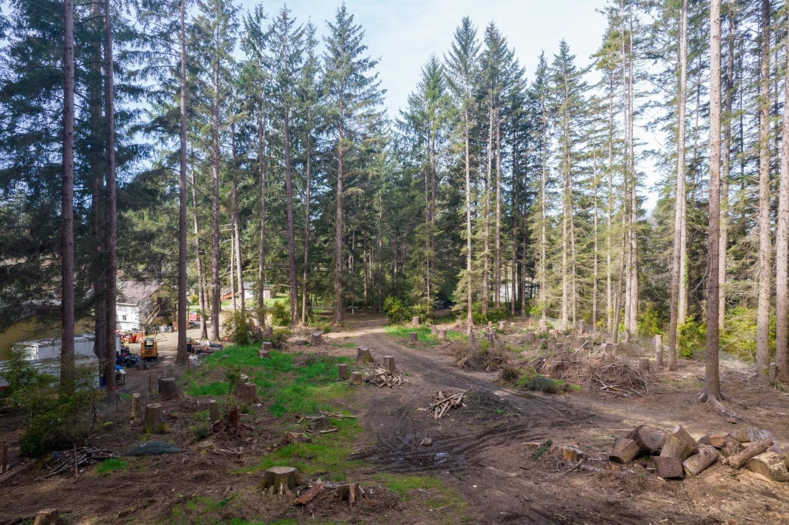 800 Gale Way photo 12