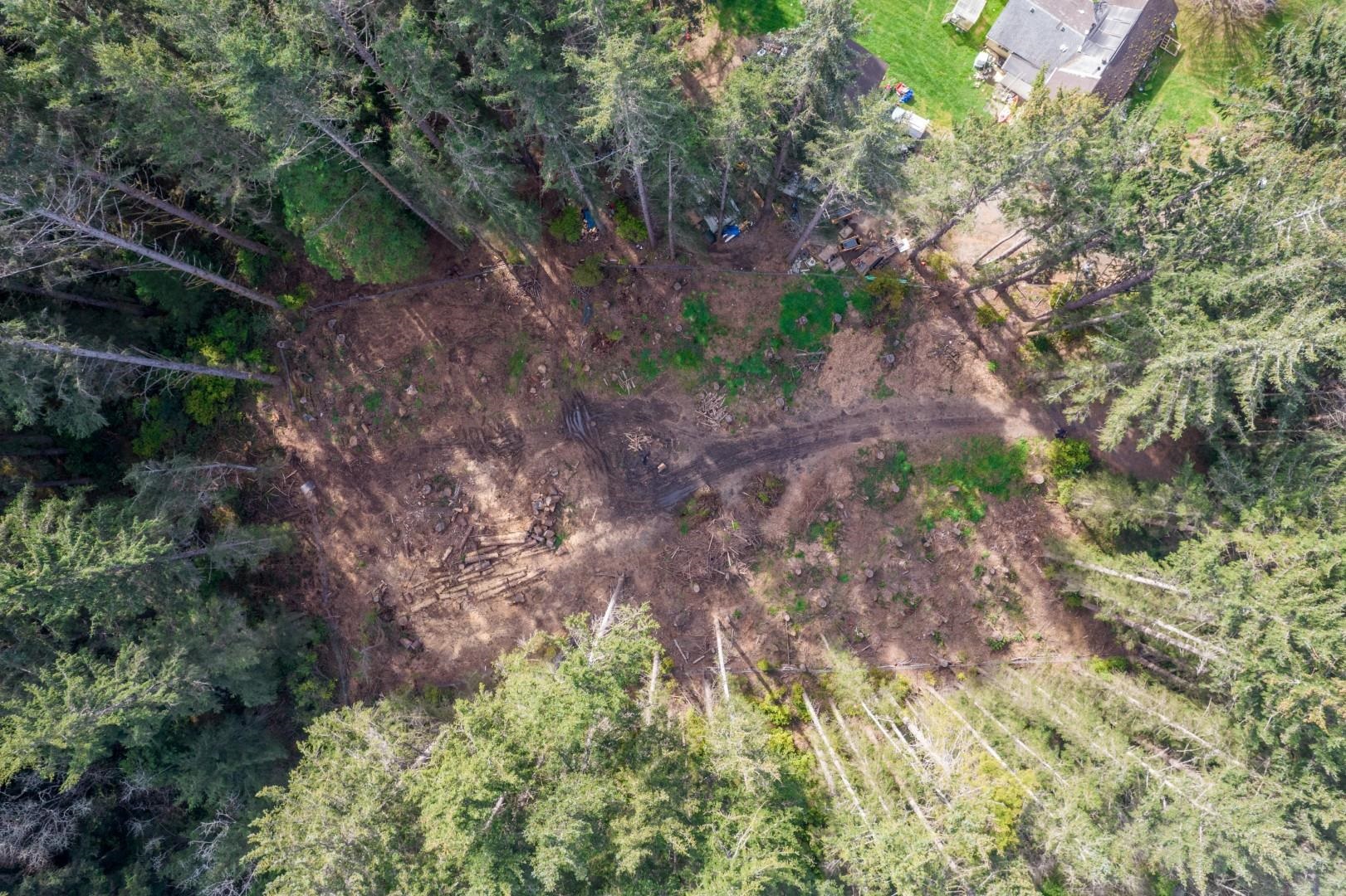 800 Gale Way photo 7