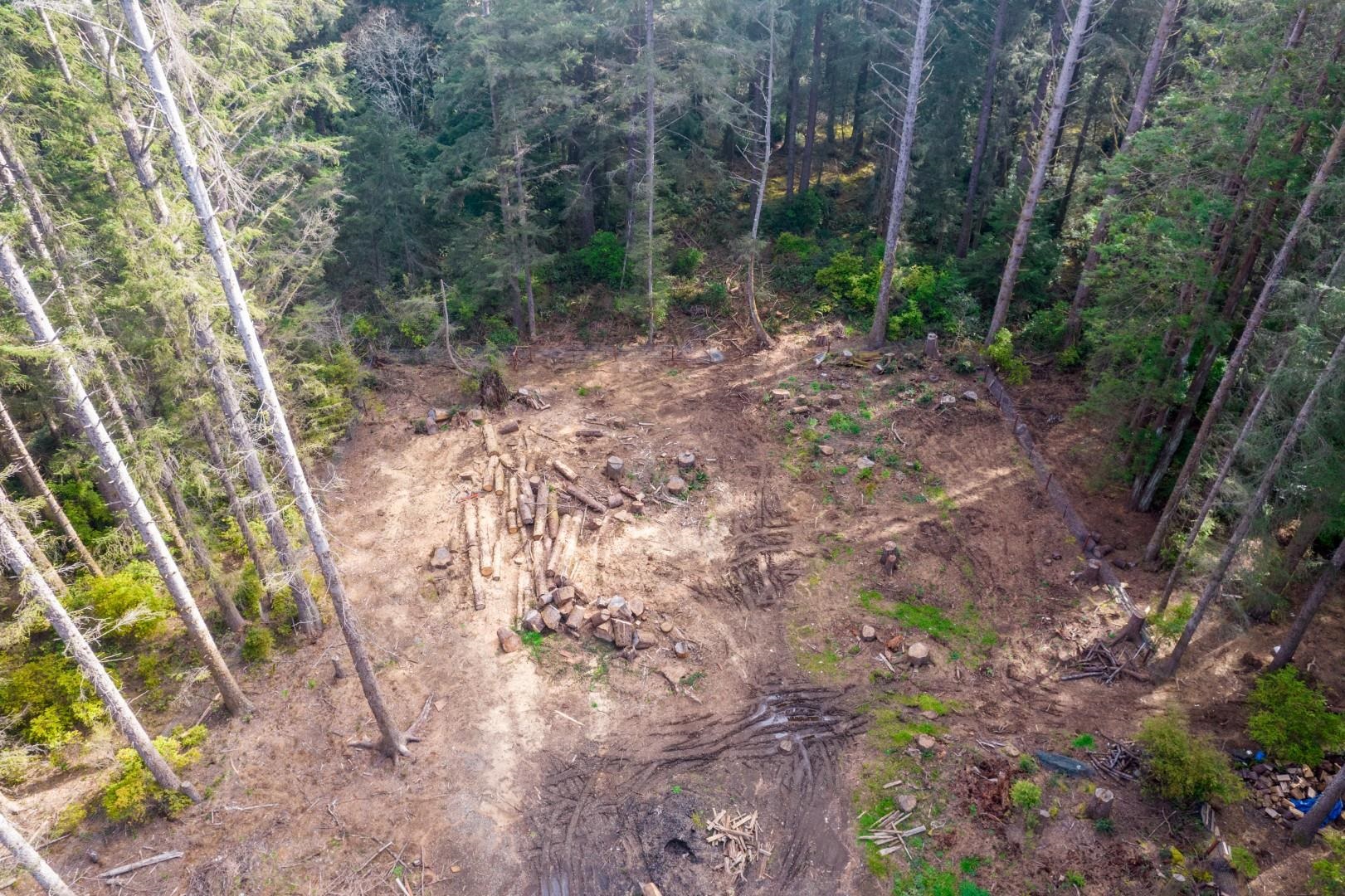 800 Gale Way photo 8