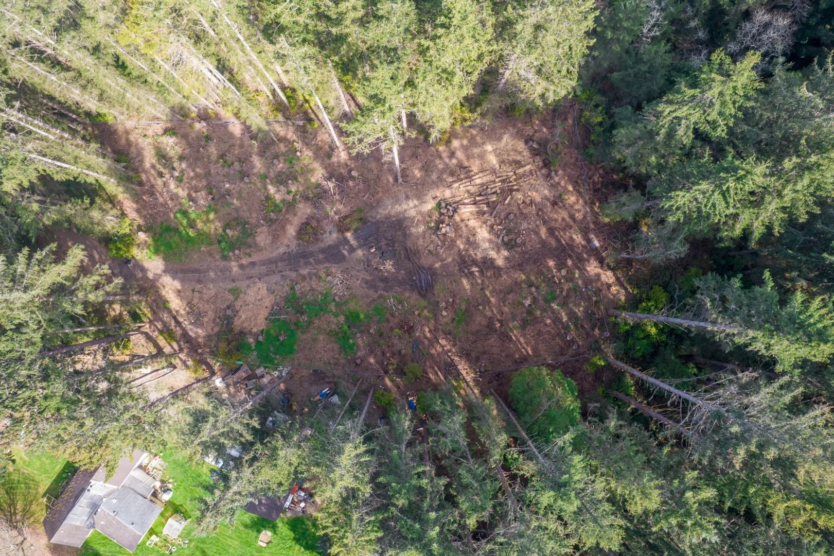 800 Gale Way photo 9