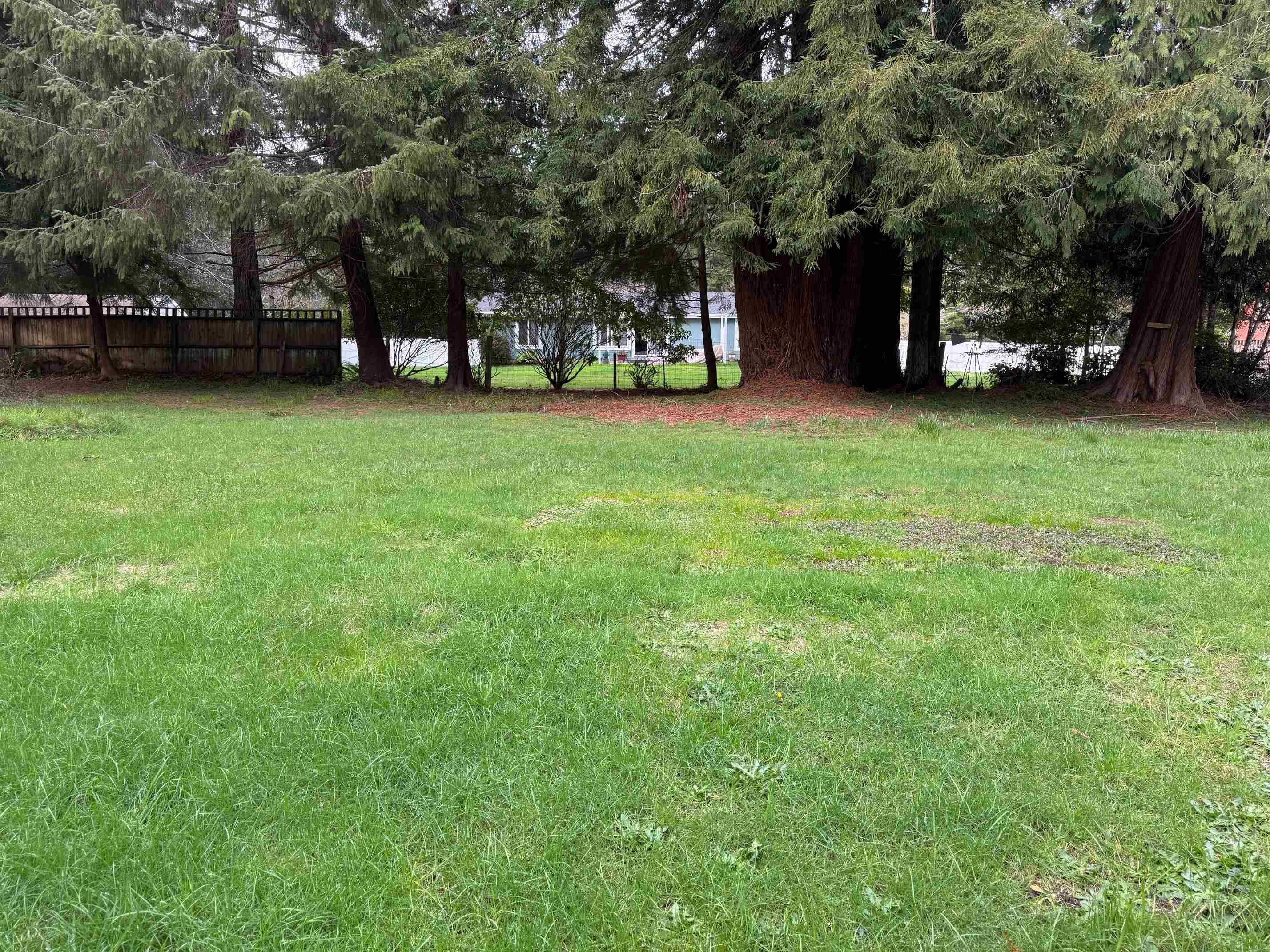 451 Cessna Drive photo 11