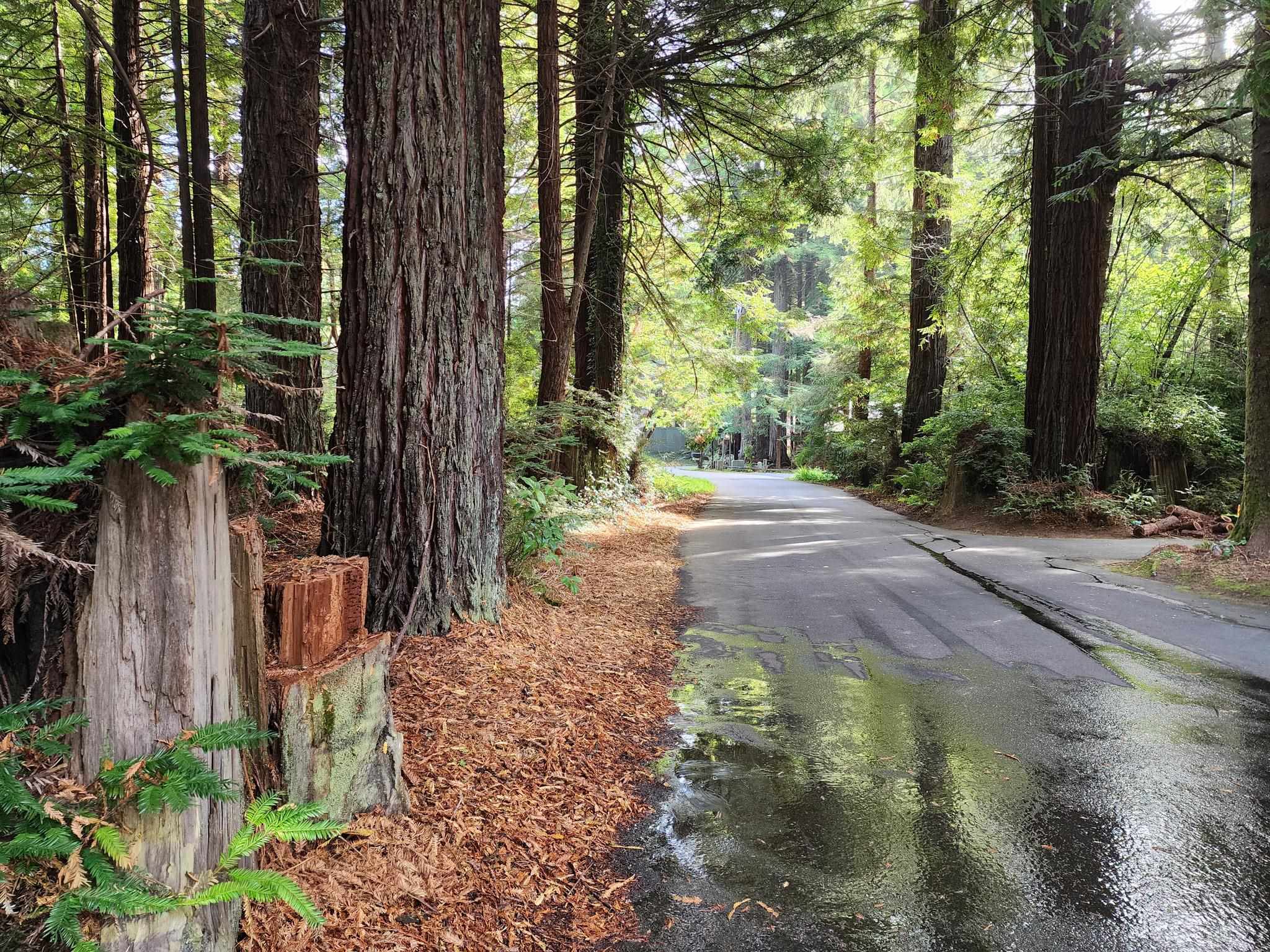 00 Sleepy Hollow Road photo 2