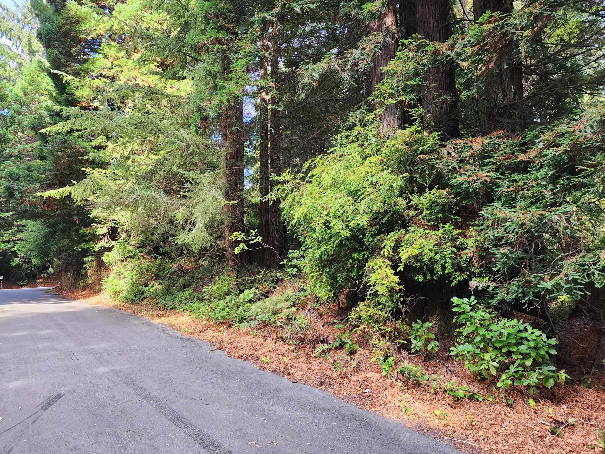 00 Sleepy Hollow Road photo 3