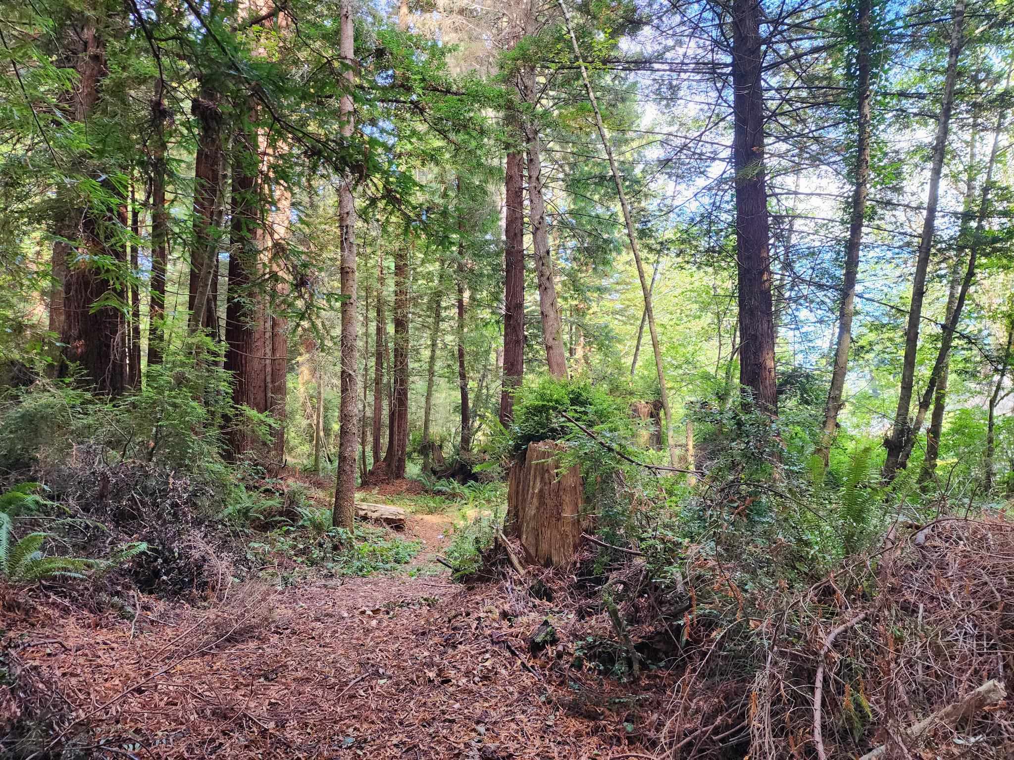 00 Sleepy Hollow Road photo 5