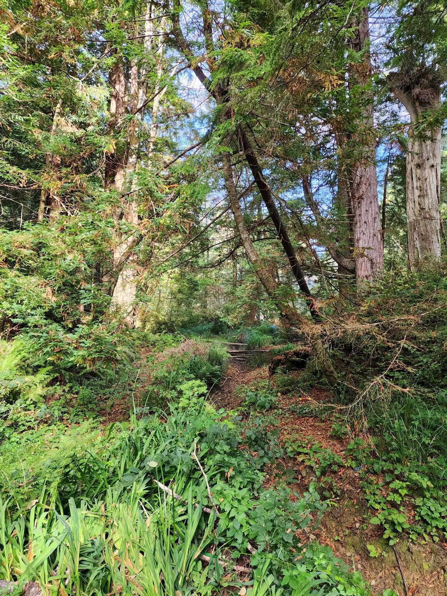 00 Sleepy Hollow Road photo 10