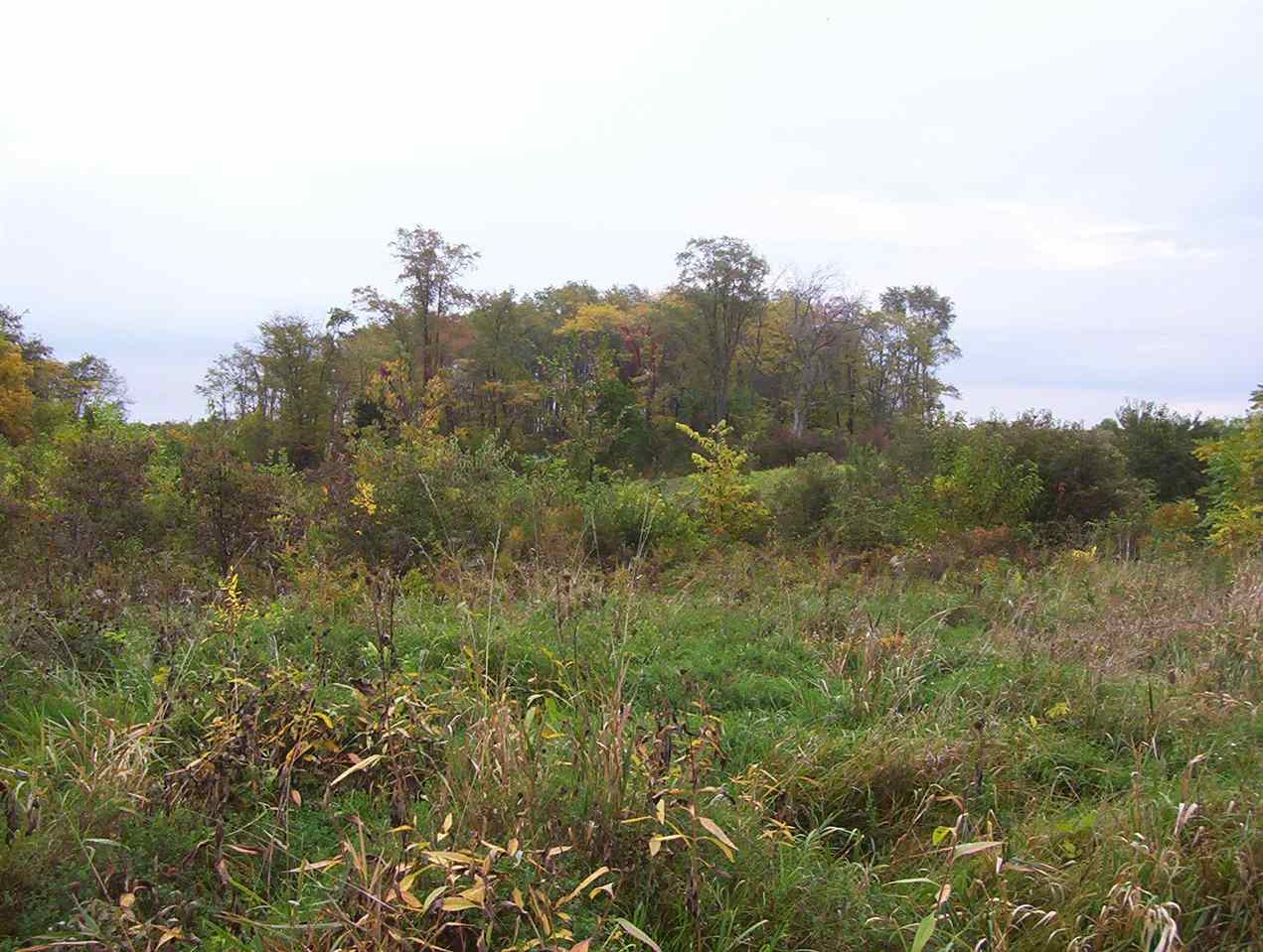 210TH ST NE Solon IA 52333