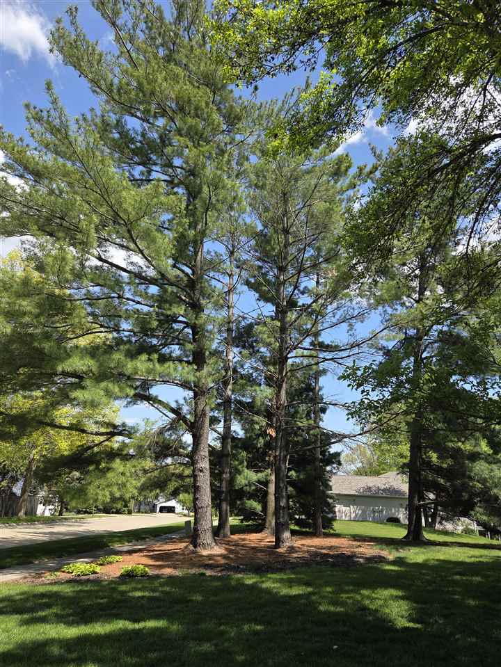 Property Photo 36