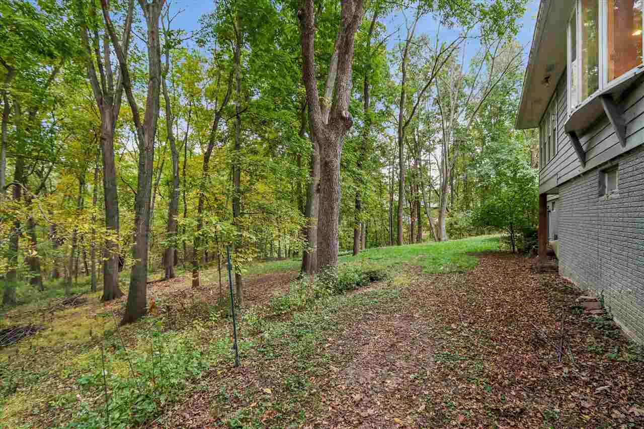 Property Photo 39