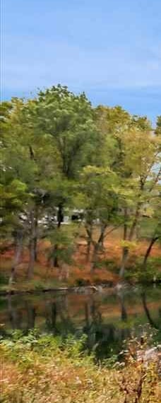 Property Photo 50