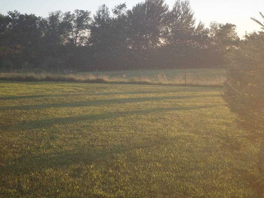 Property Photo 53