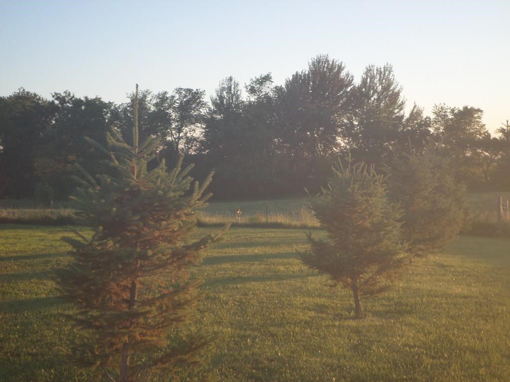 Property Photo 54