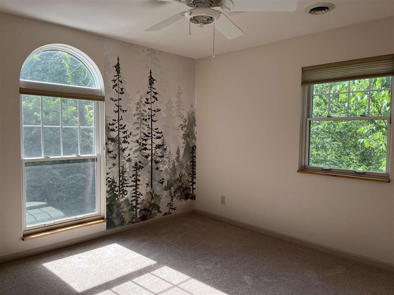 Property Photo 50
