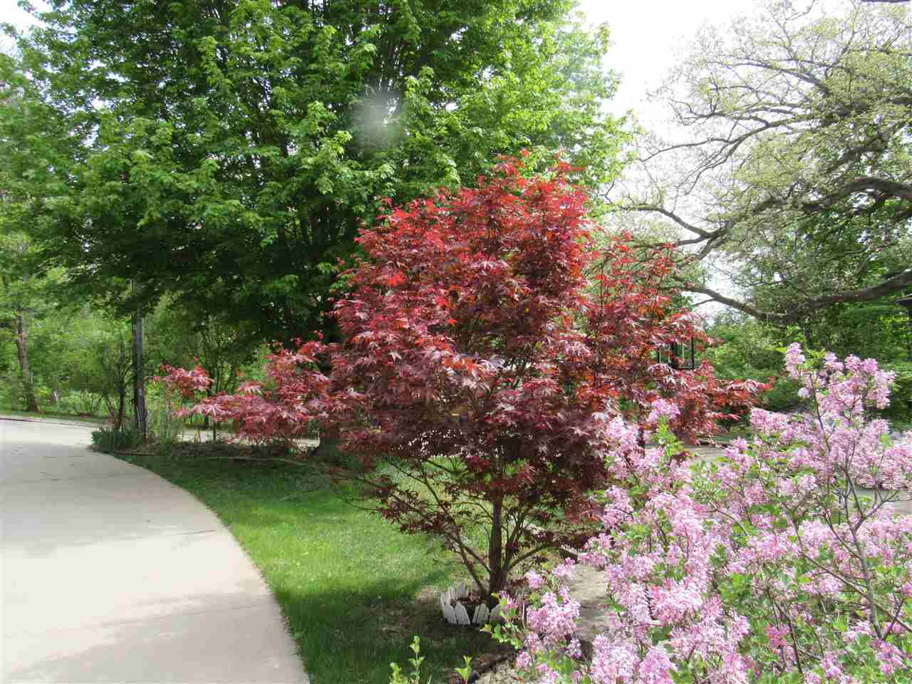 Property Photo 64